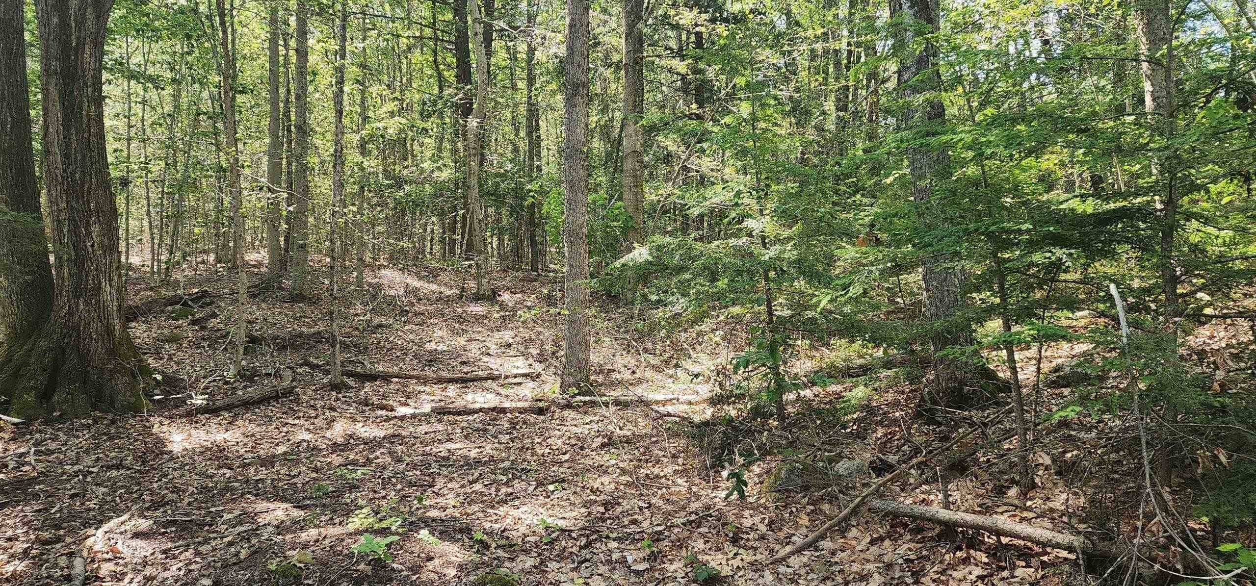 Wakefield, NH 03872,Map 223 lot 31 Access RD #31