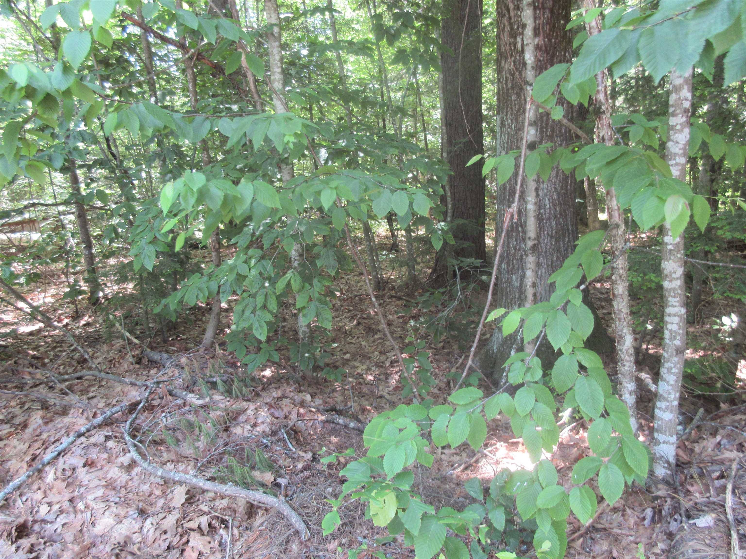 Hillsborough, NH 03244,40 Ellen Brook RD