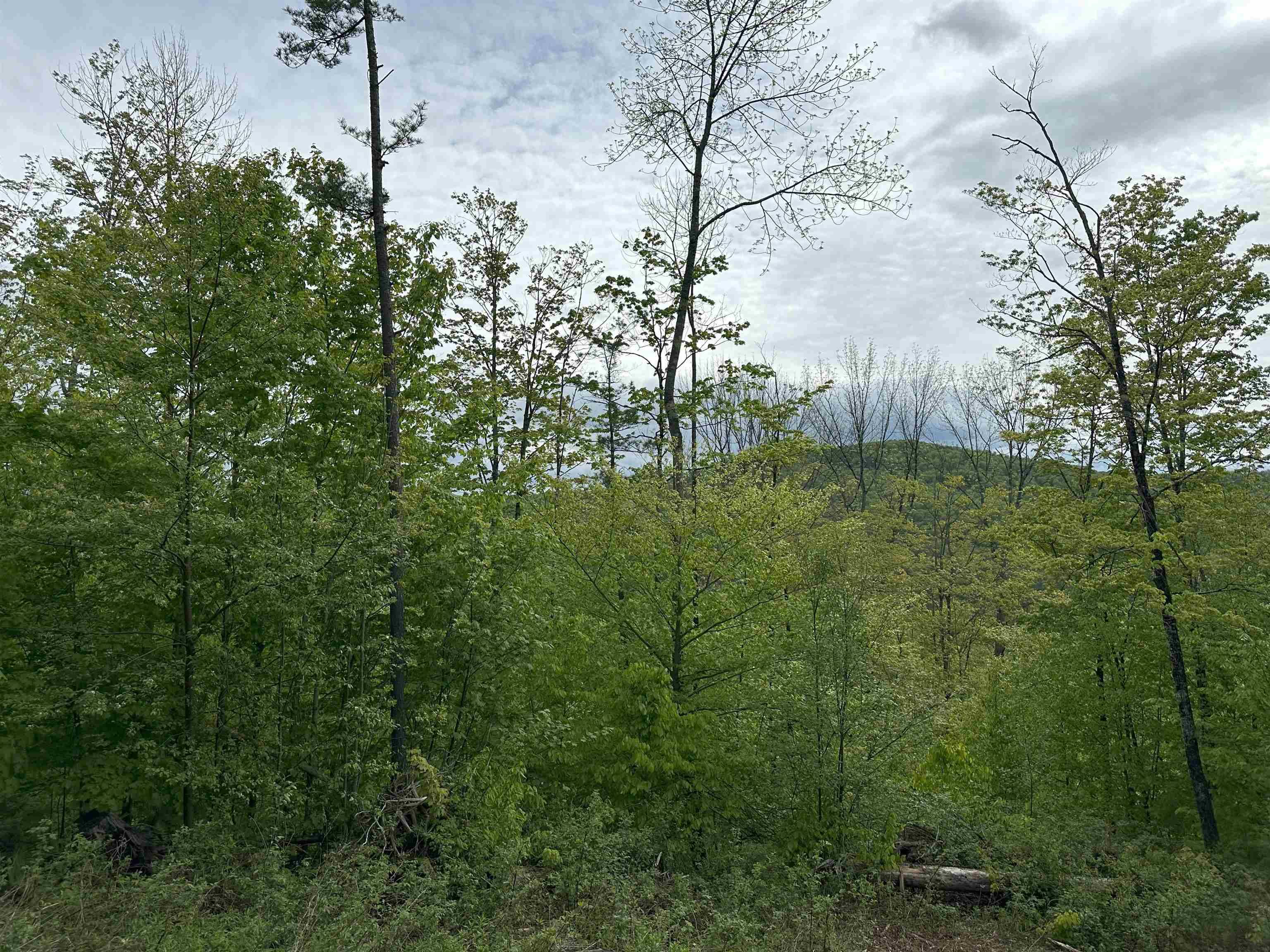 Chelsea, VT 05038,00 Hall RD
