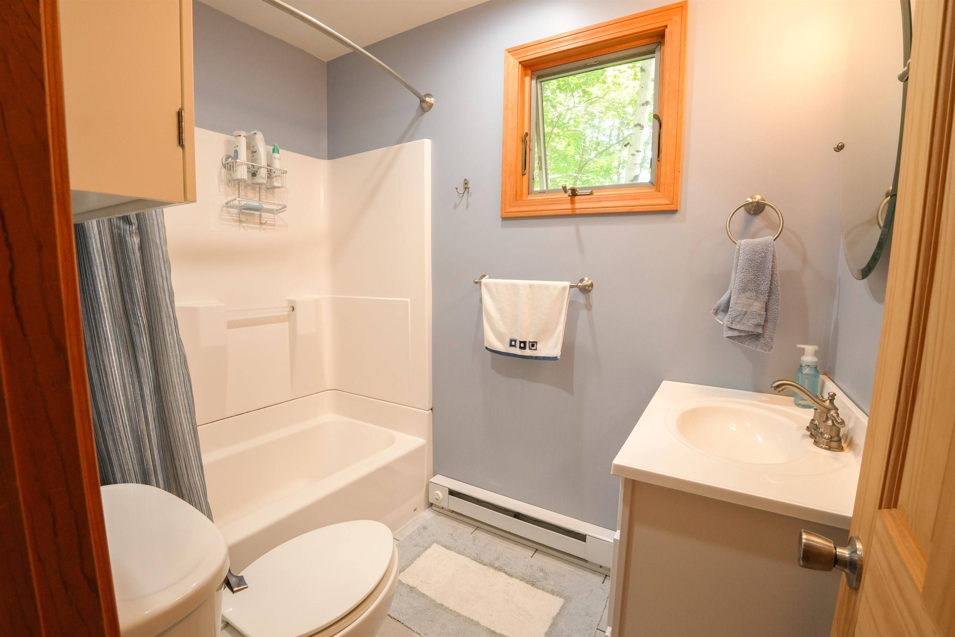 Moultonborough, NH 03254,59 Langdorf ST