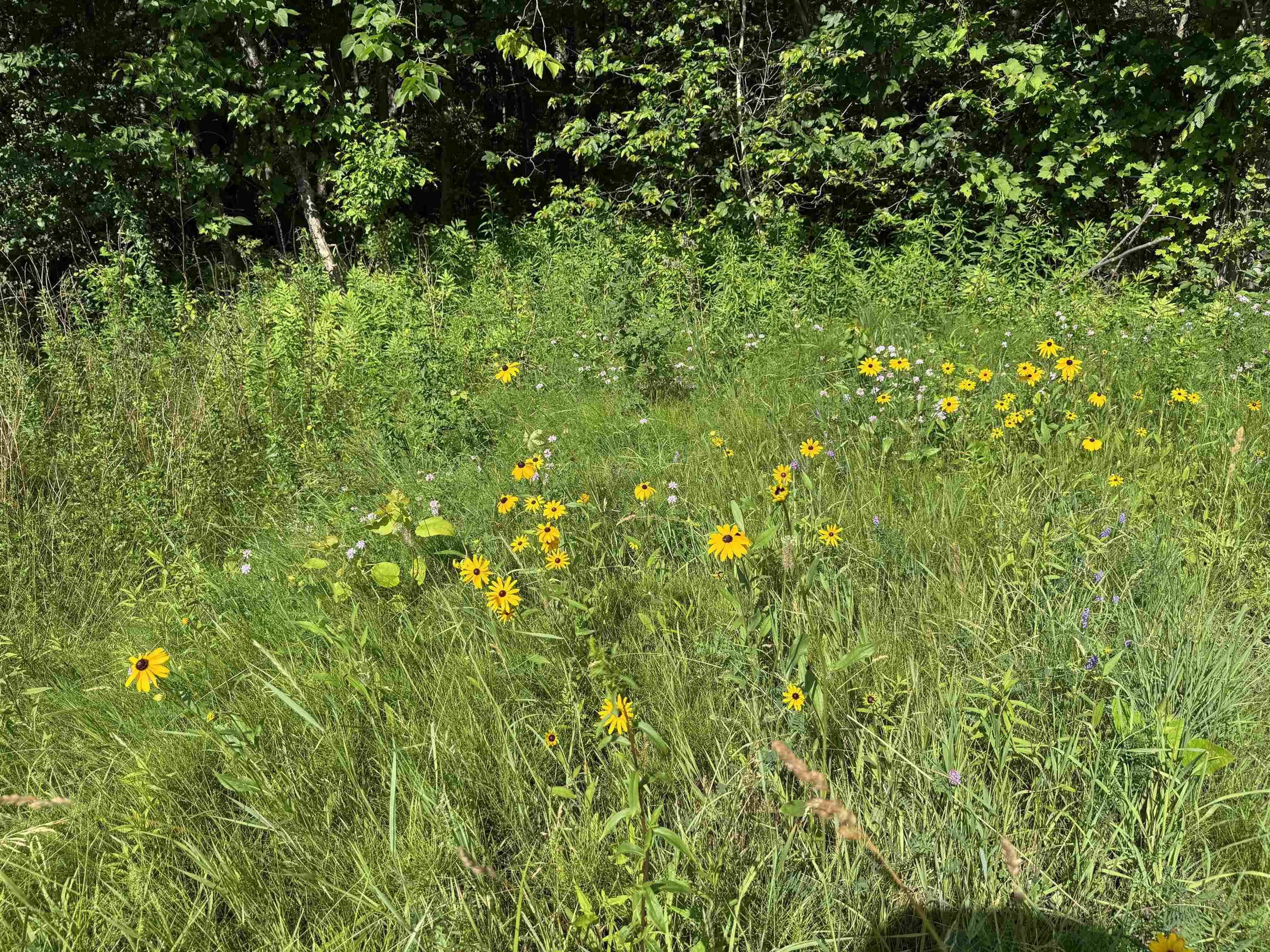 Salisbury, VT 05769,TBD Holman RD