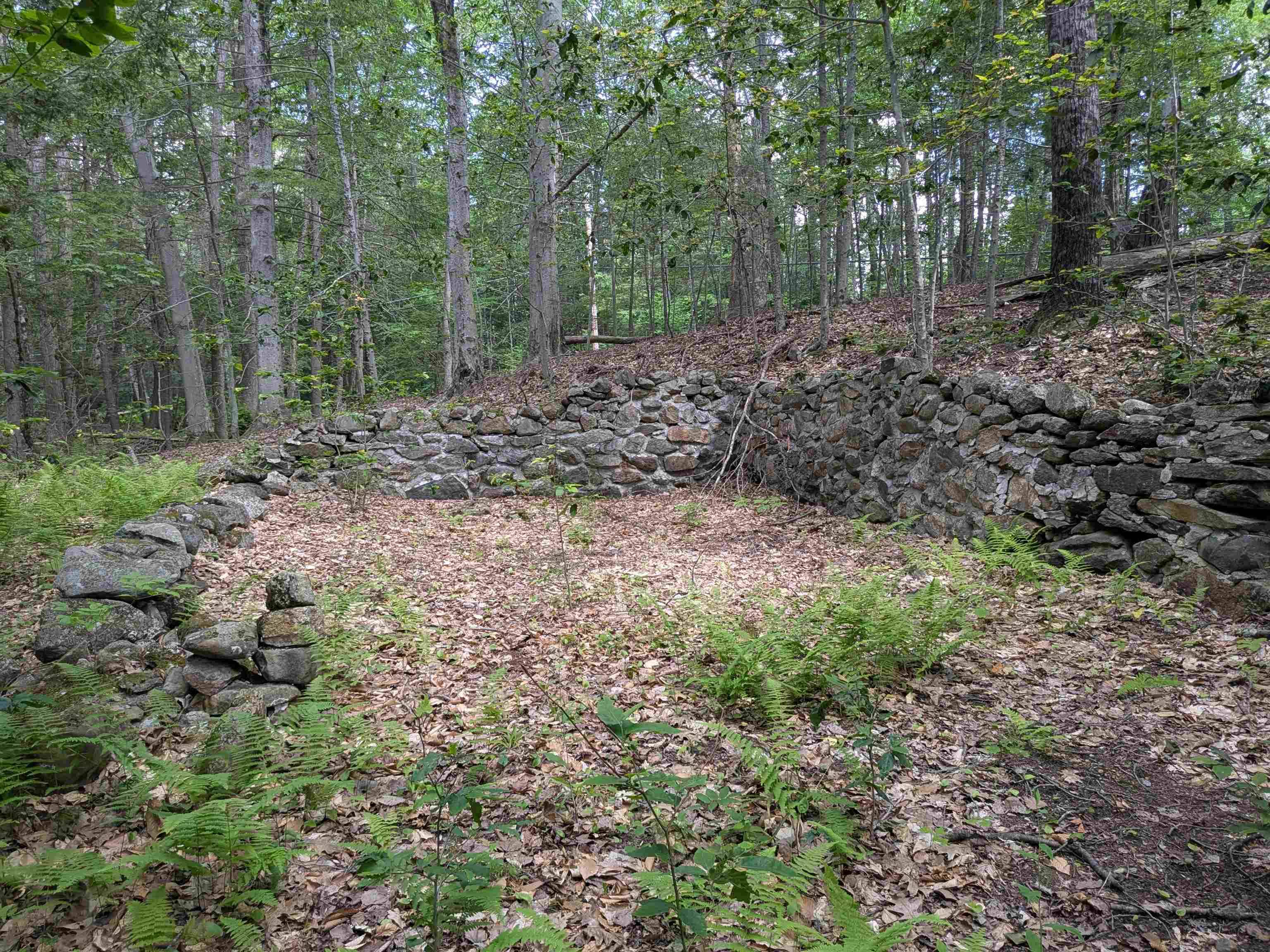 Wilton, NH 03086,A 66 Burton HWY