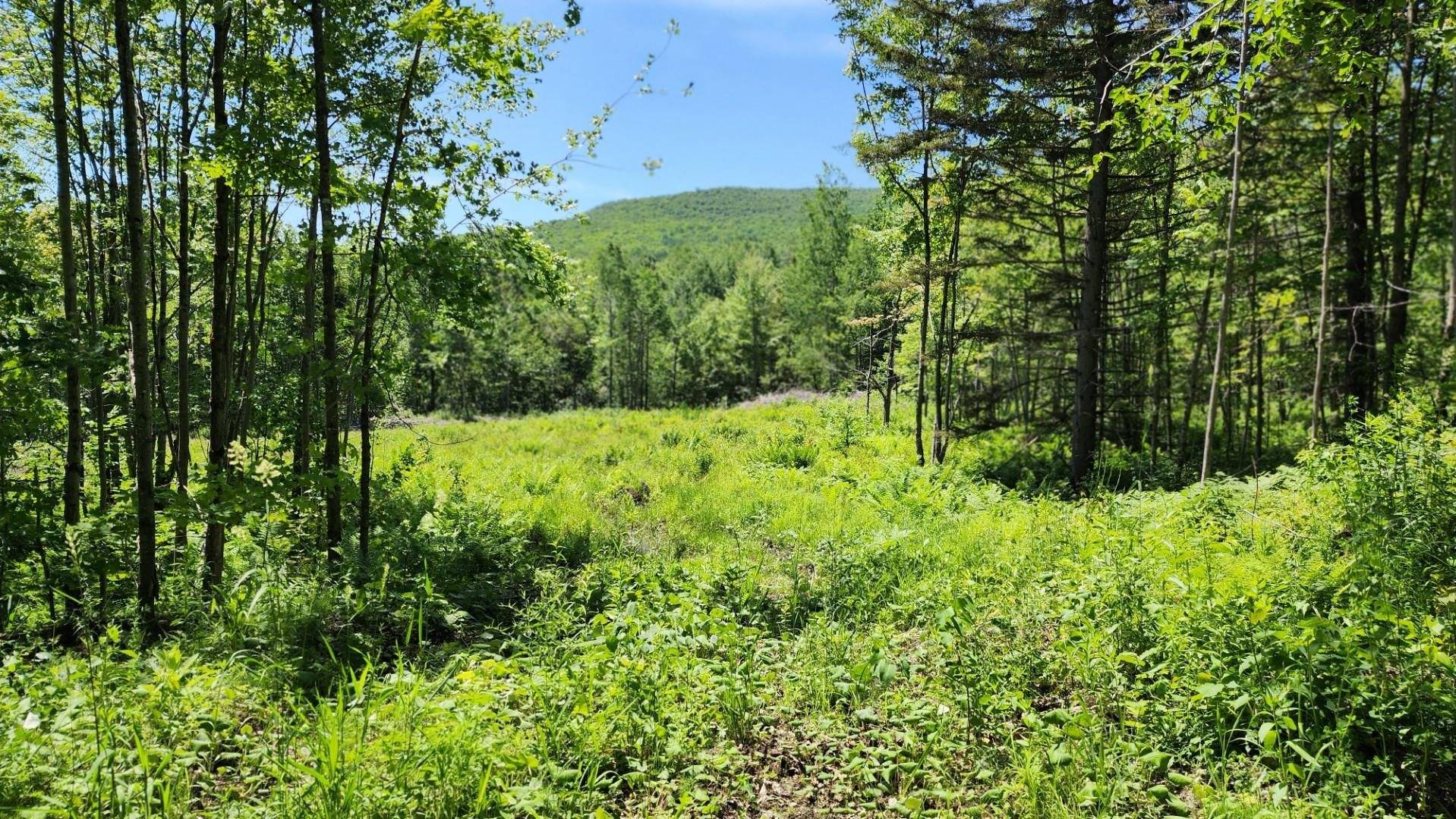 Newport Town, VT 05857,1400 Clark Mountain RD