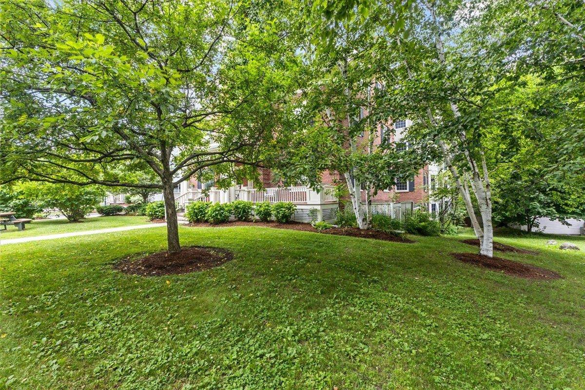 Burlington, VT 05401,81 South Williams ST #203