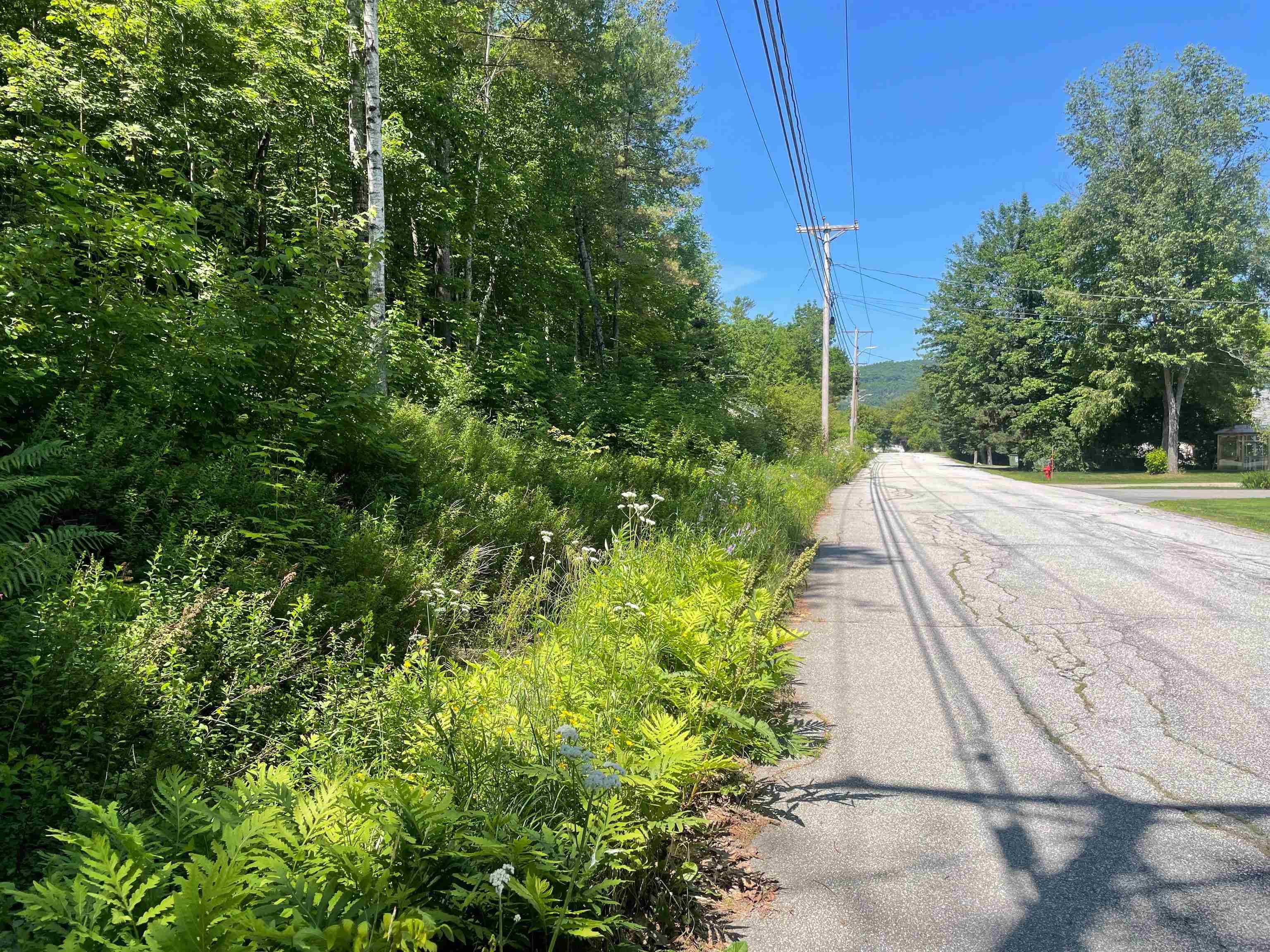 Littleton, NH 03561,Map 84 - Lot 45 South ST