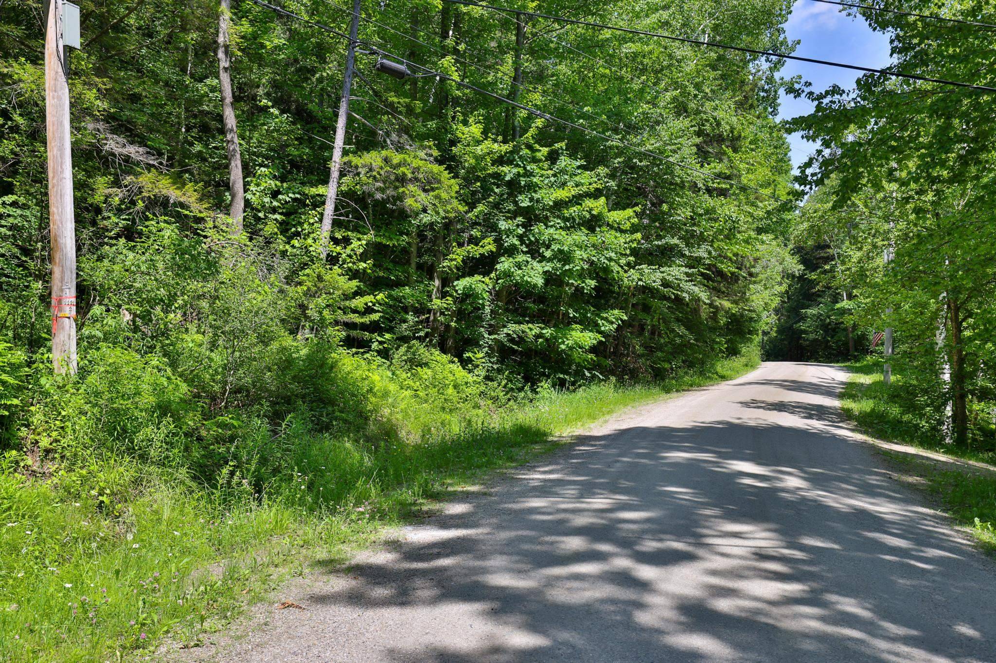 Pittsfield, VT 05762,Lot 50 Hawk Mountain RD