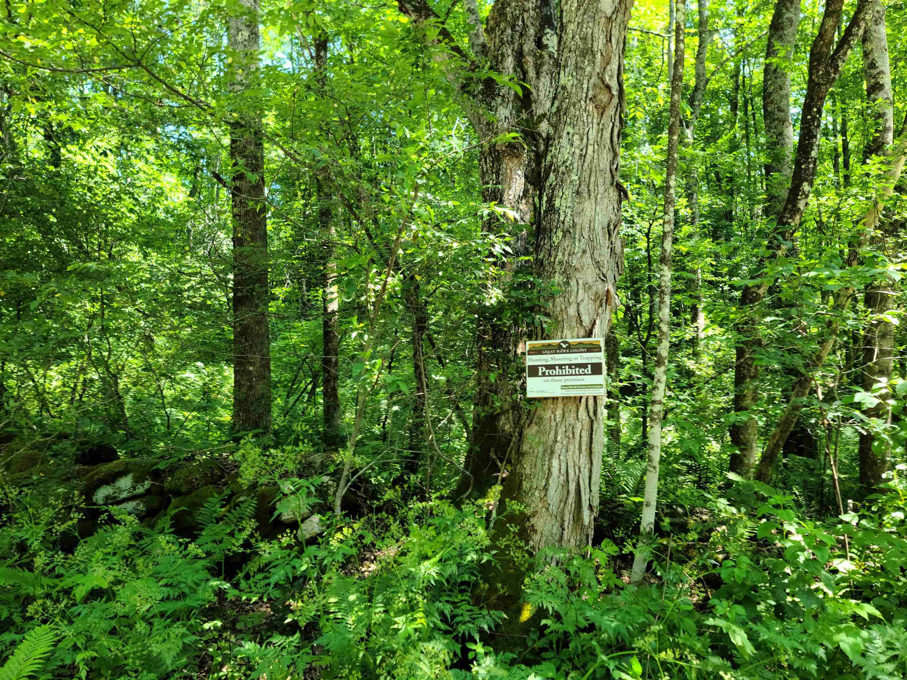 Rochester, VT 05767,868 Maple HL #T-6 (Tarbett Sector)