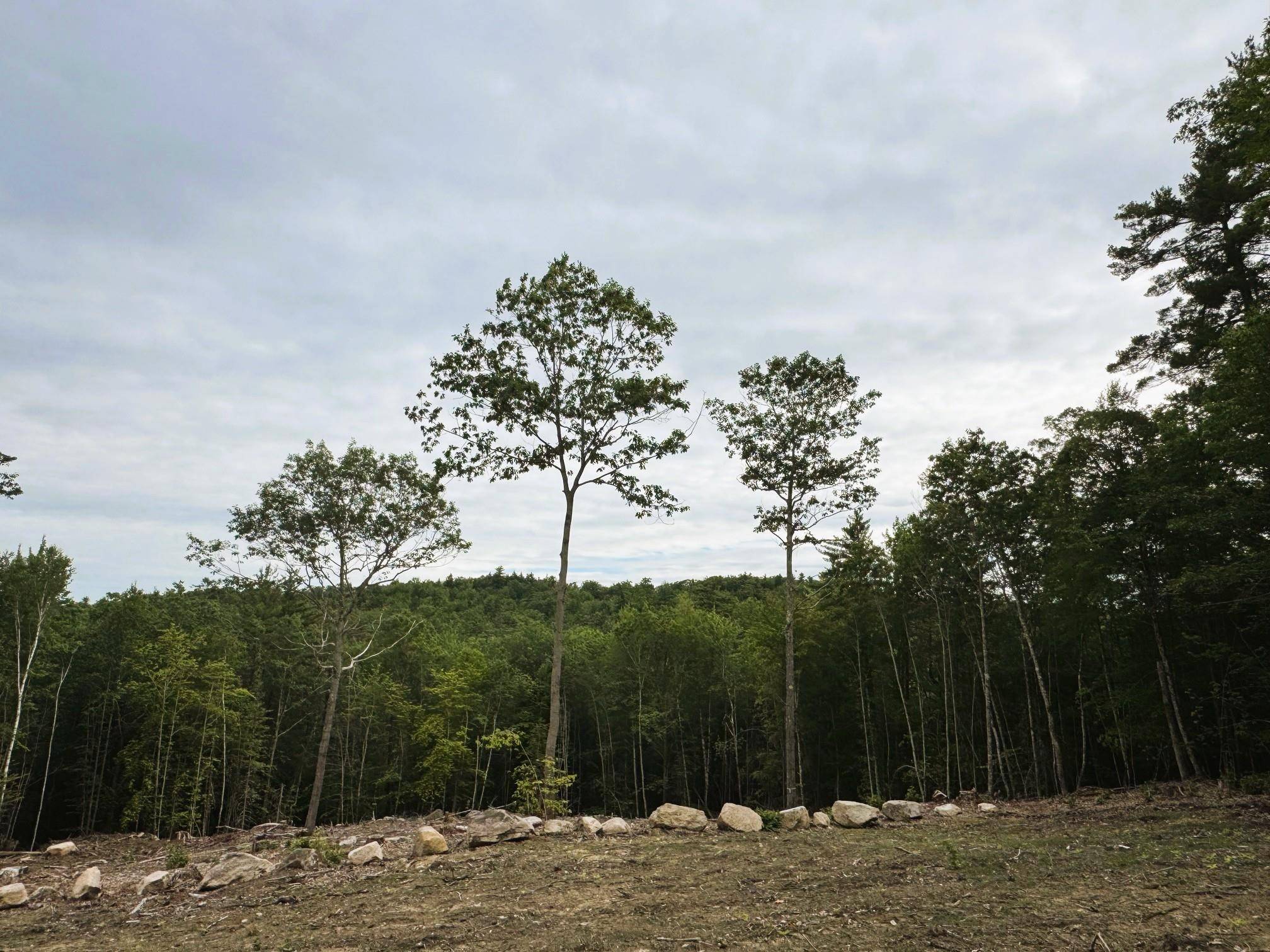 Rines RD #49 Alton, NH 03809