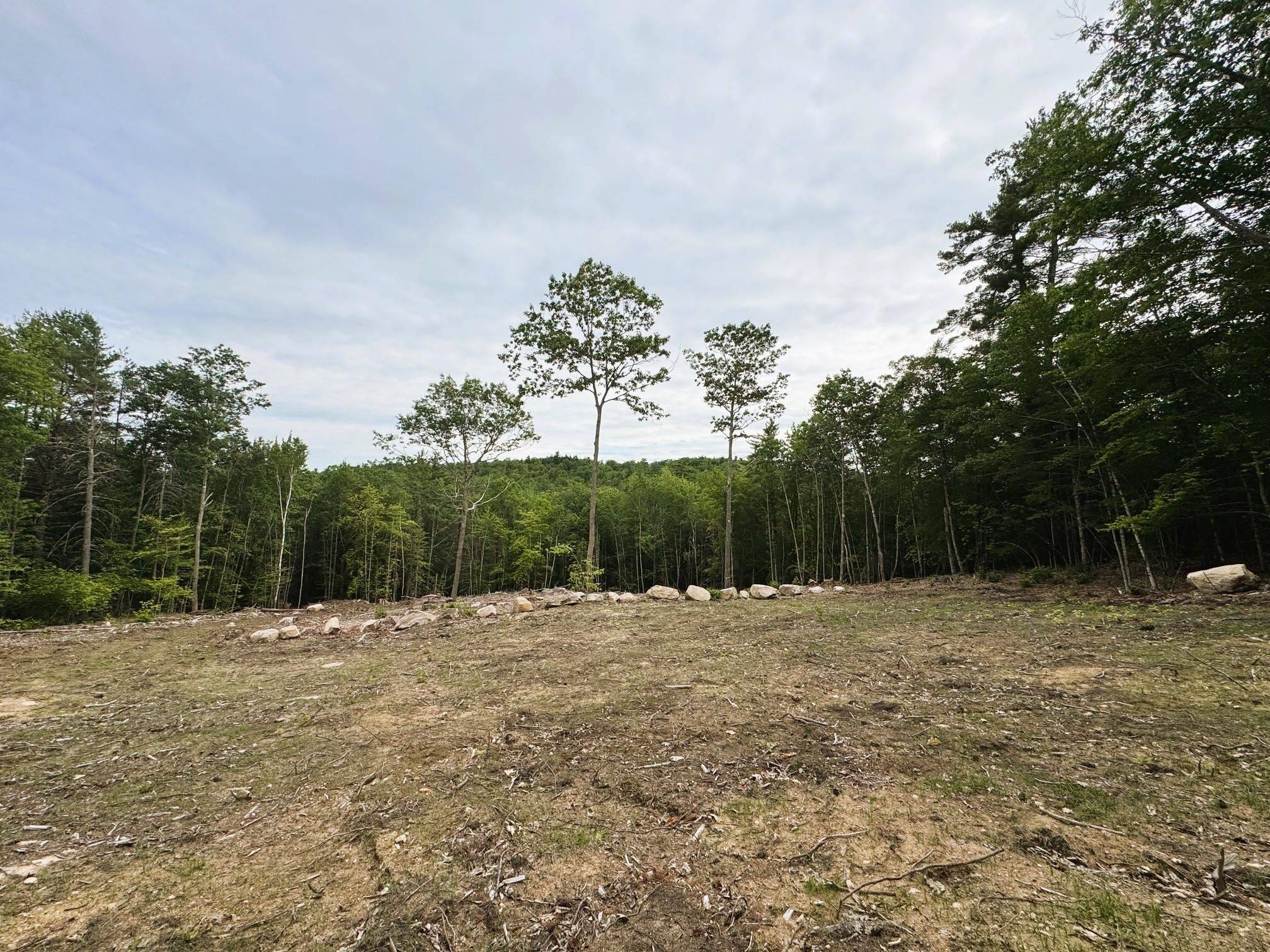 Rines RD #49 Alton, NH 03809
