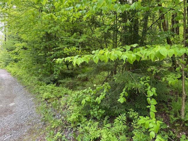 Fairfax, VT 05454,76 Wimble RD