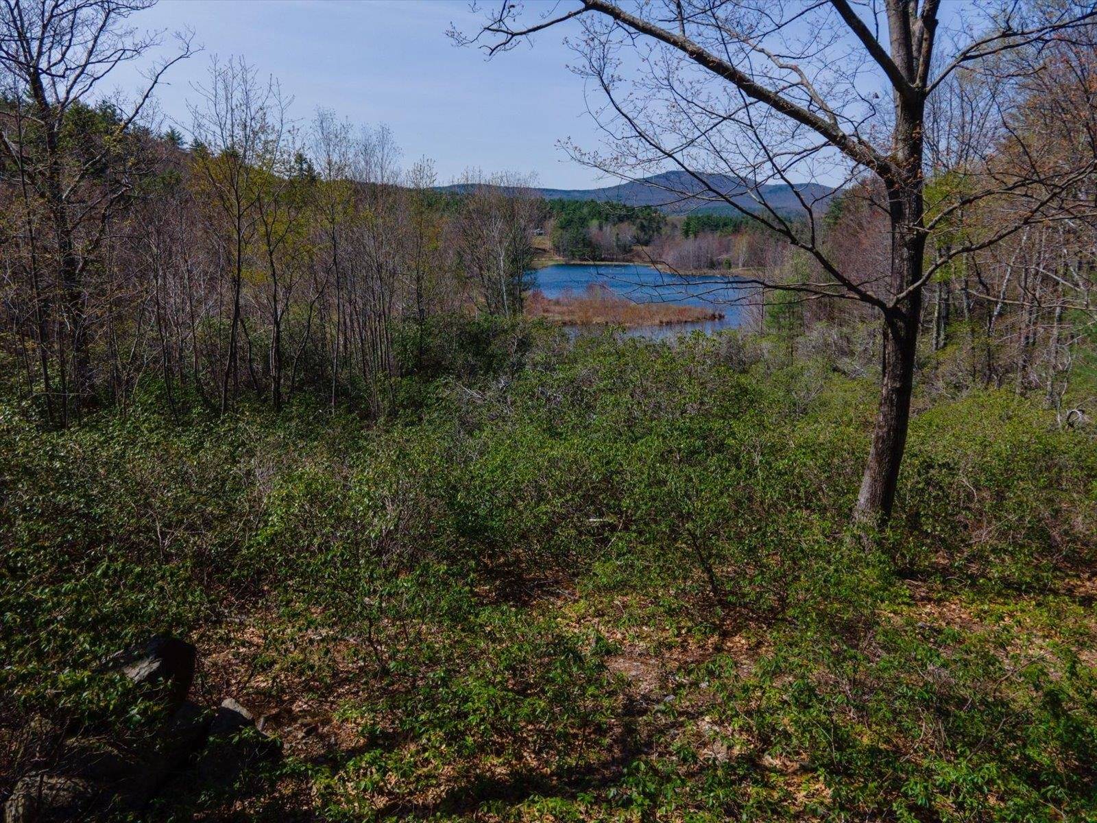 Temple, NH 03084,00 Stonegate Farm RD