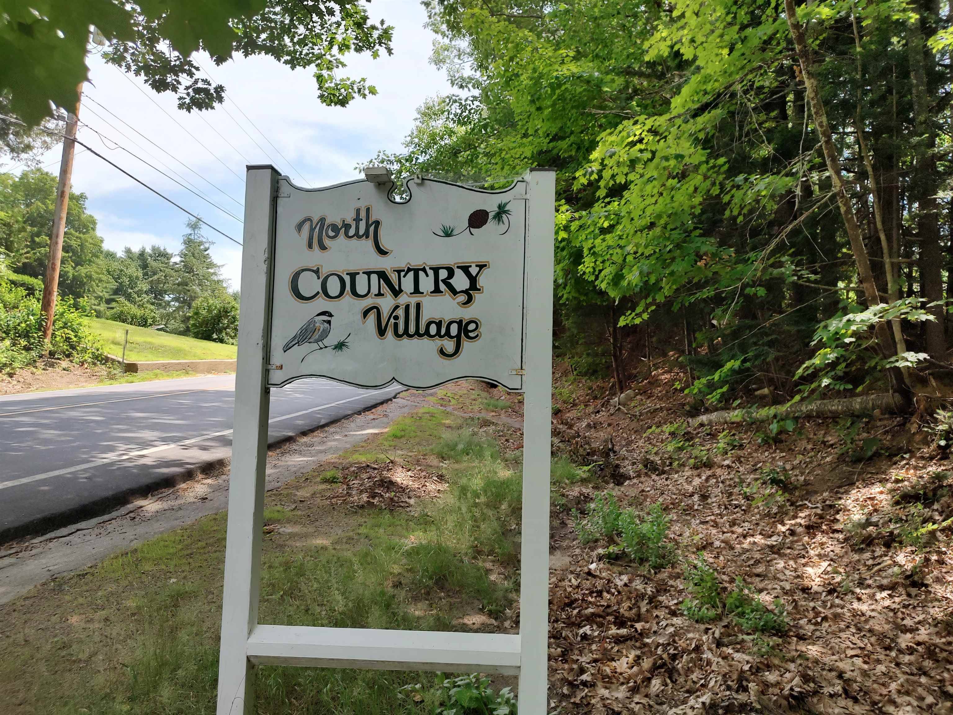 Tuftonboro, NH 03816,33 Juniper DR
