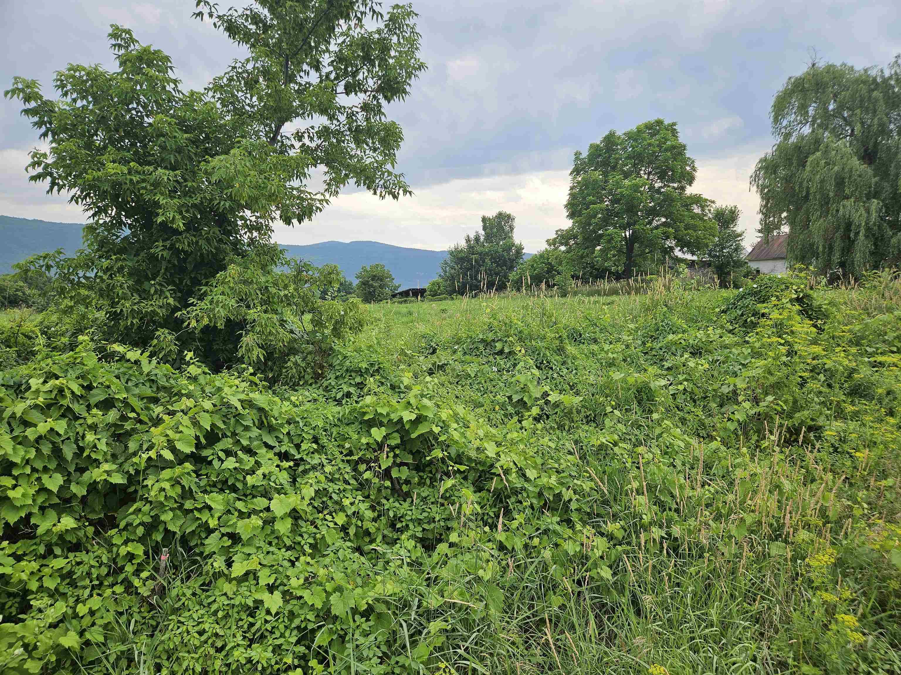 Middlebury, VT 05753,1726 Munger ST