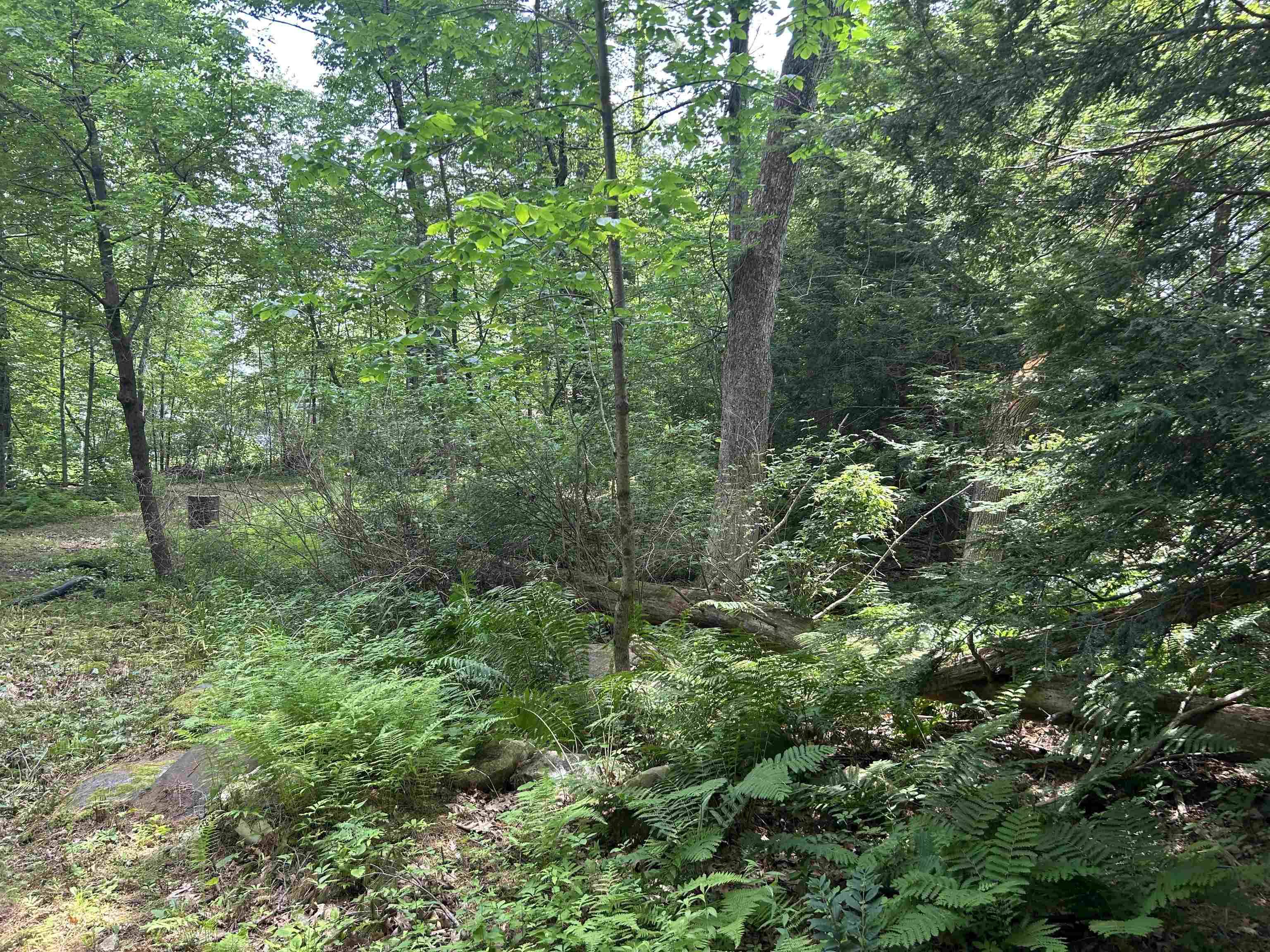 Pelham, NH 03076,2 S Shore DR
