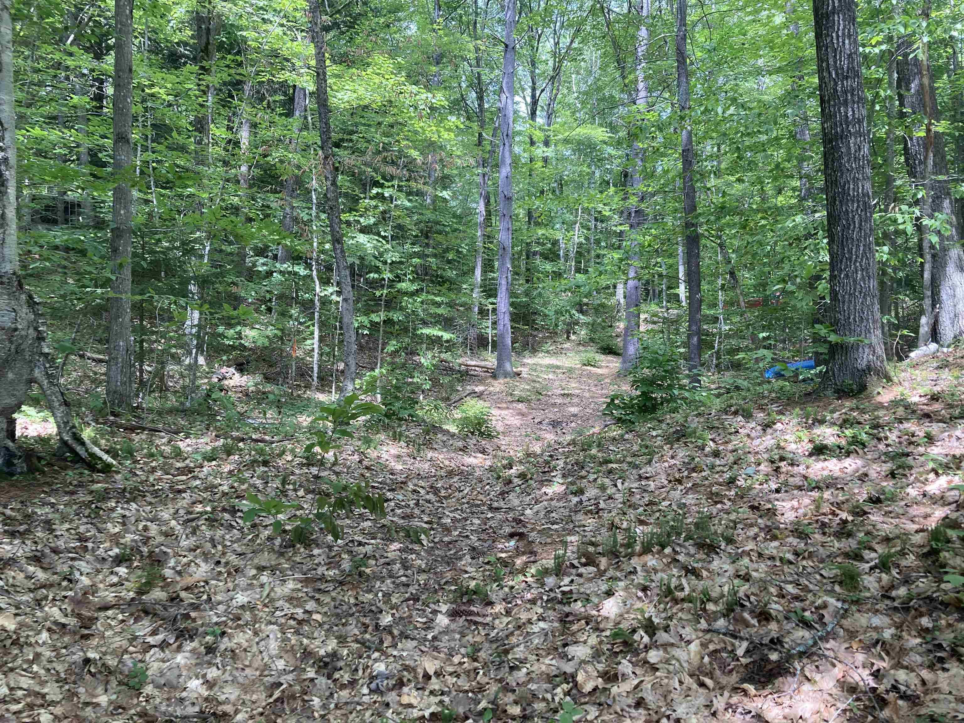 Grafton, NH 03240,0 Beard LN