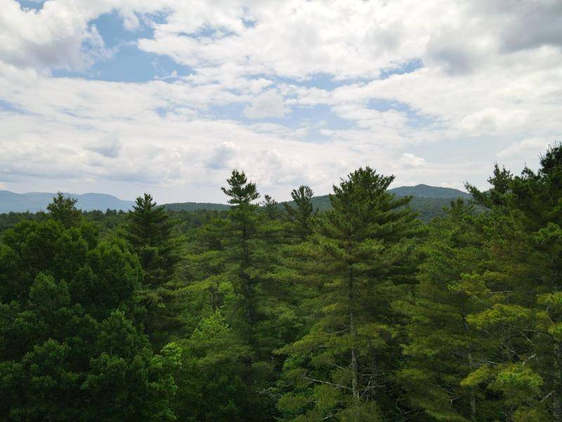 Brandon, VT 05733,0 Marshall Phillips RD