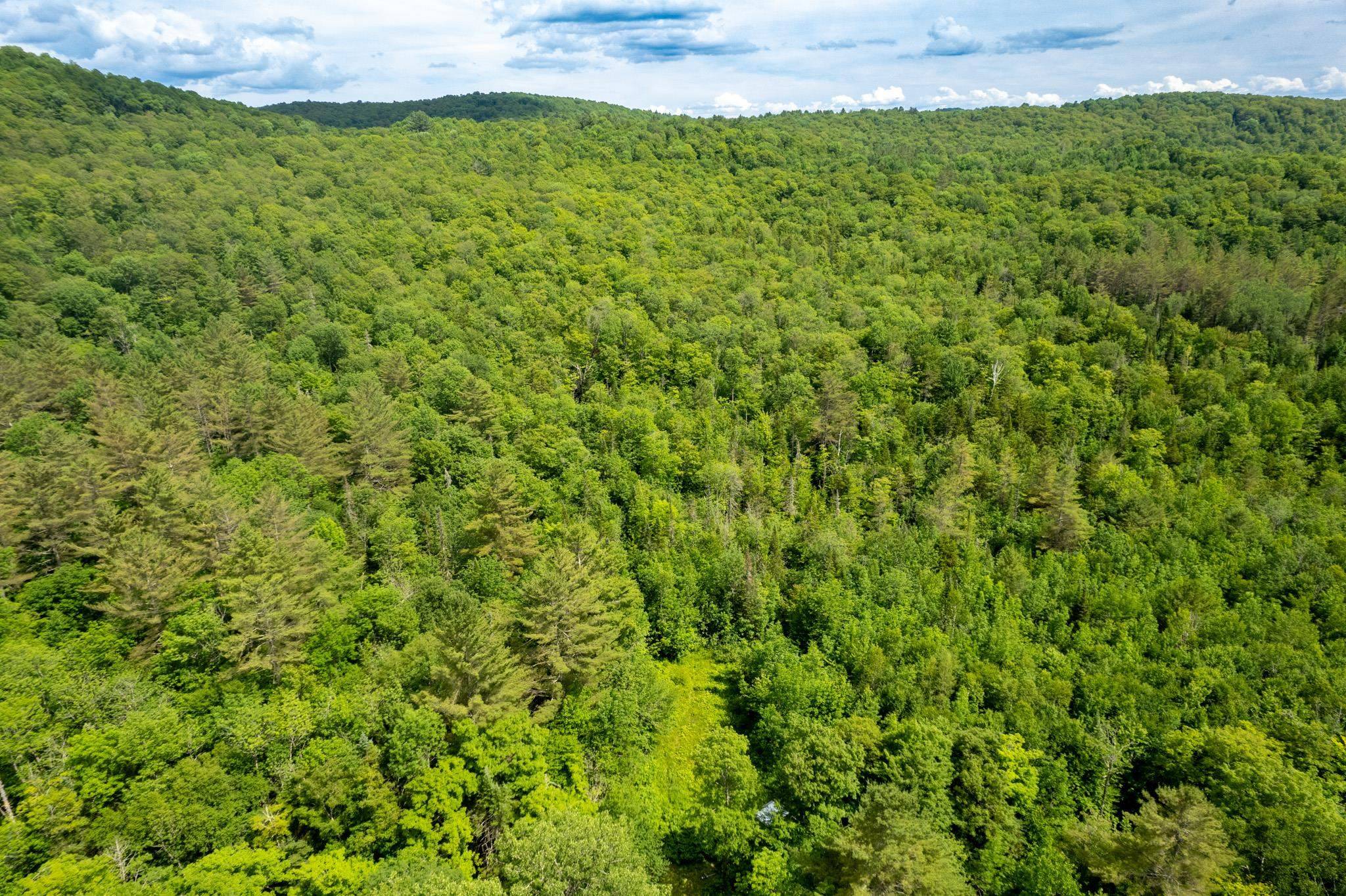 Strafford, VT 05072,230 Taylor Valley RD