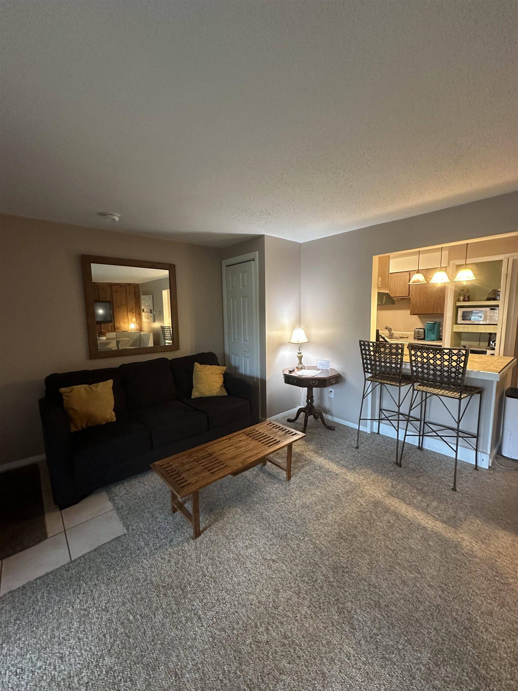 Waterville Valley, NH 03215,6 Windsor Hill WAY #48