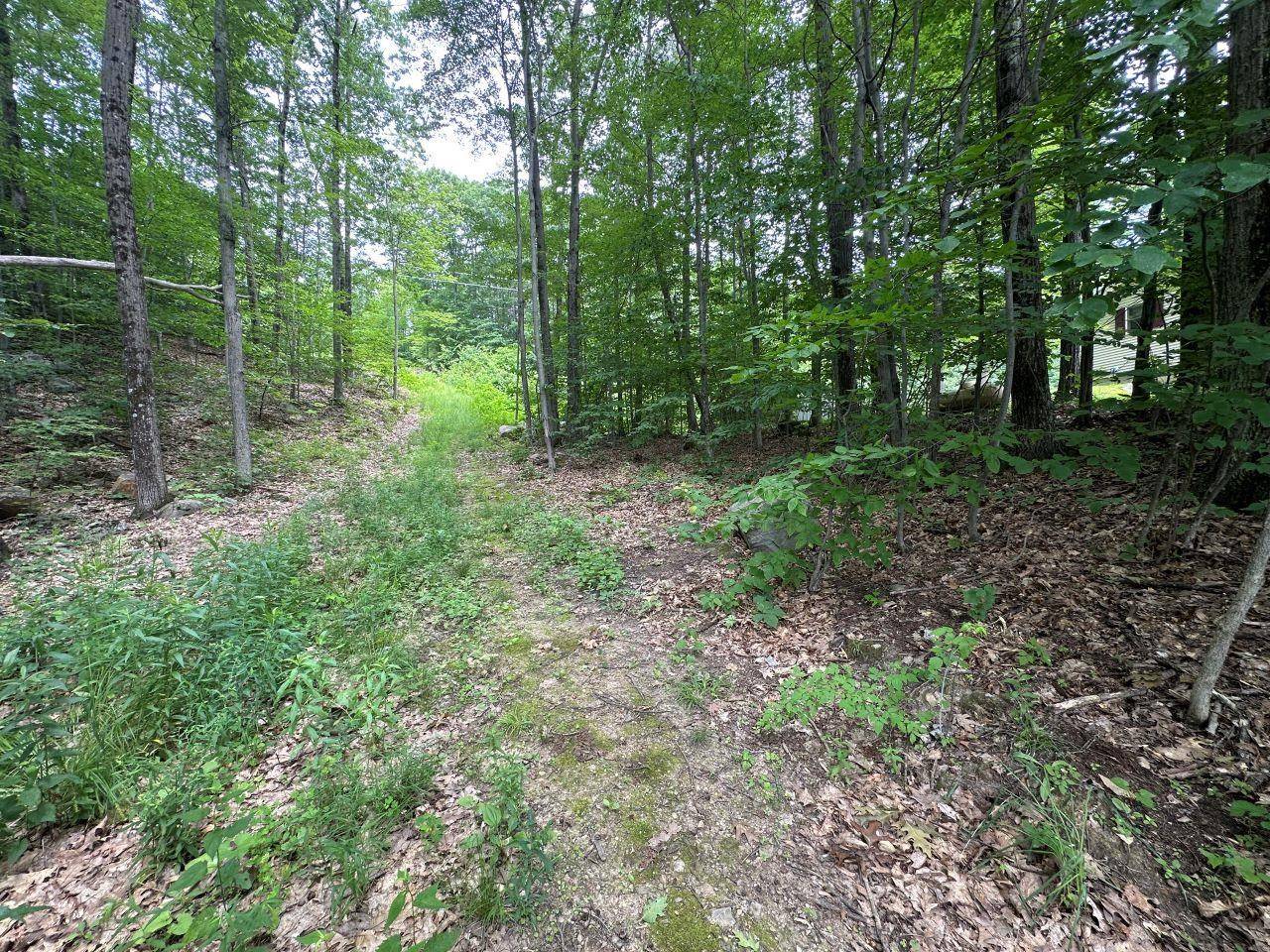 Rutland City, VT 05701,0 Shepherd LN