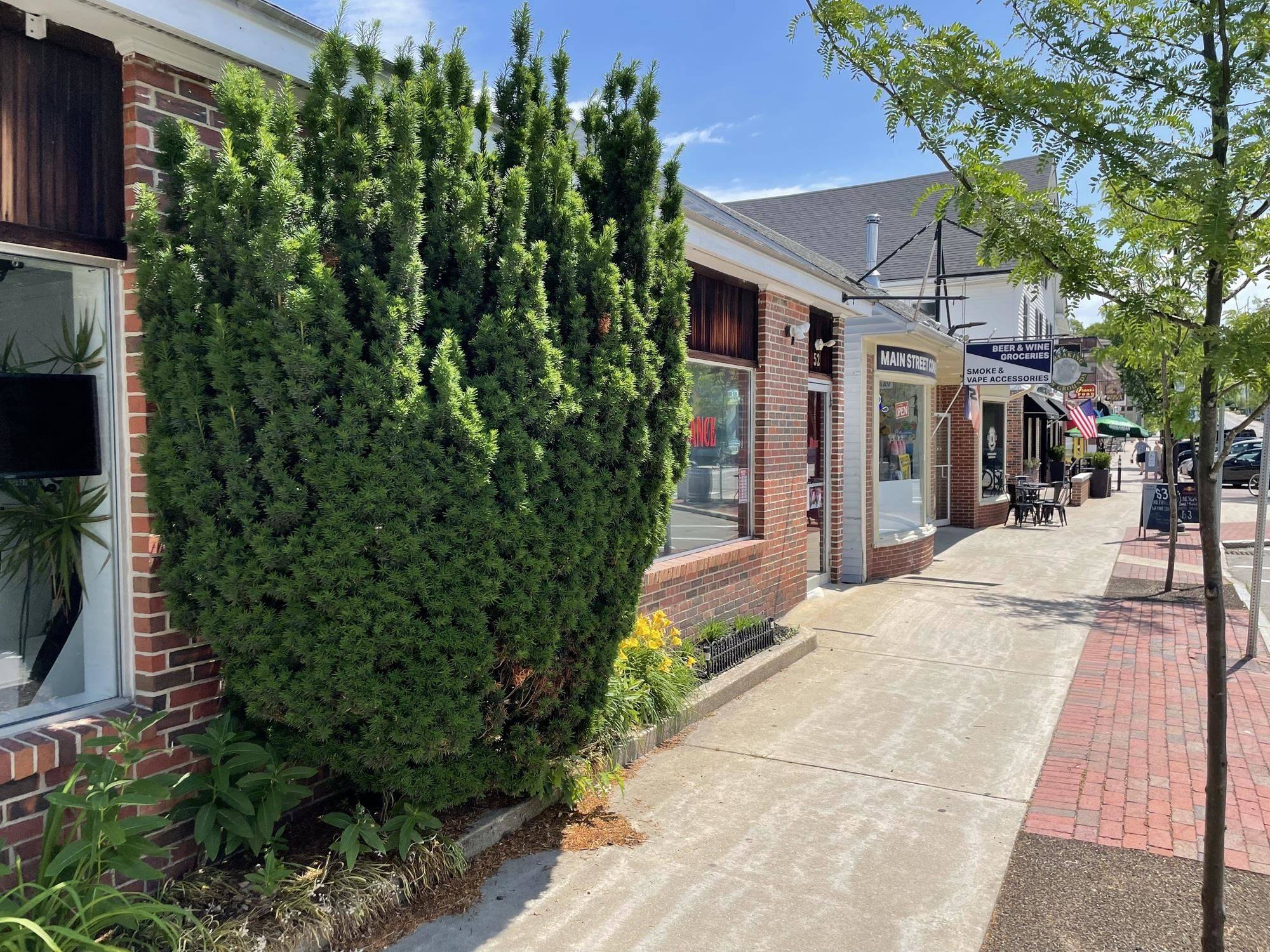 Durham, NH 03824,50-54 Main ST