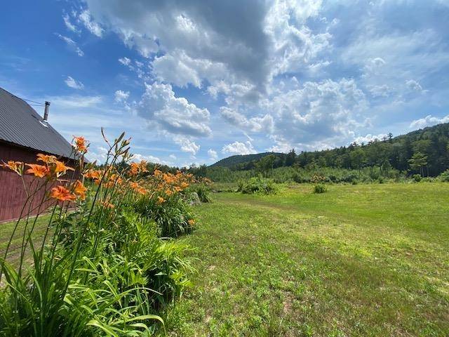 Warner, NH 03278,89 Mink Hill LN