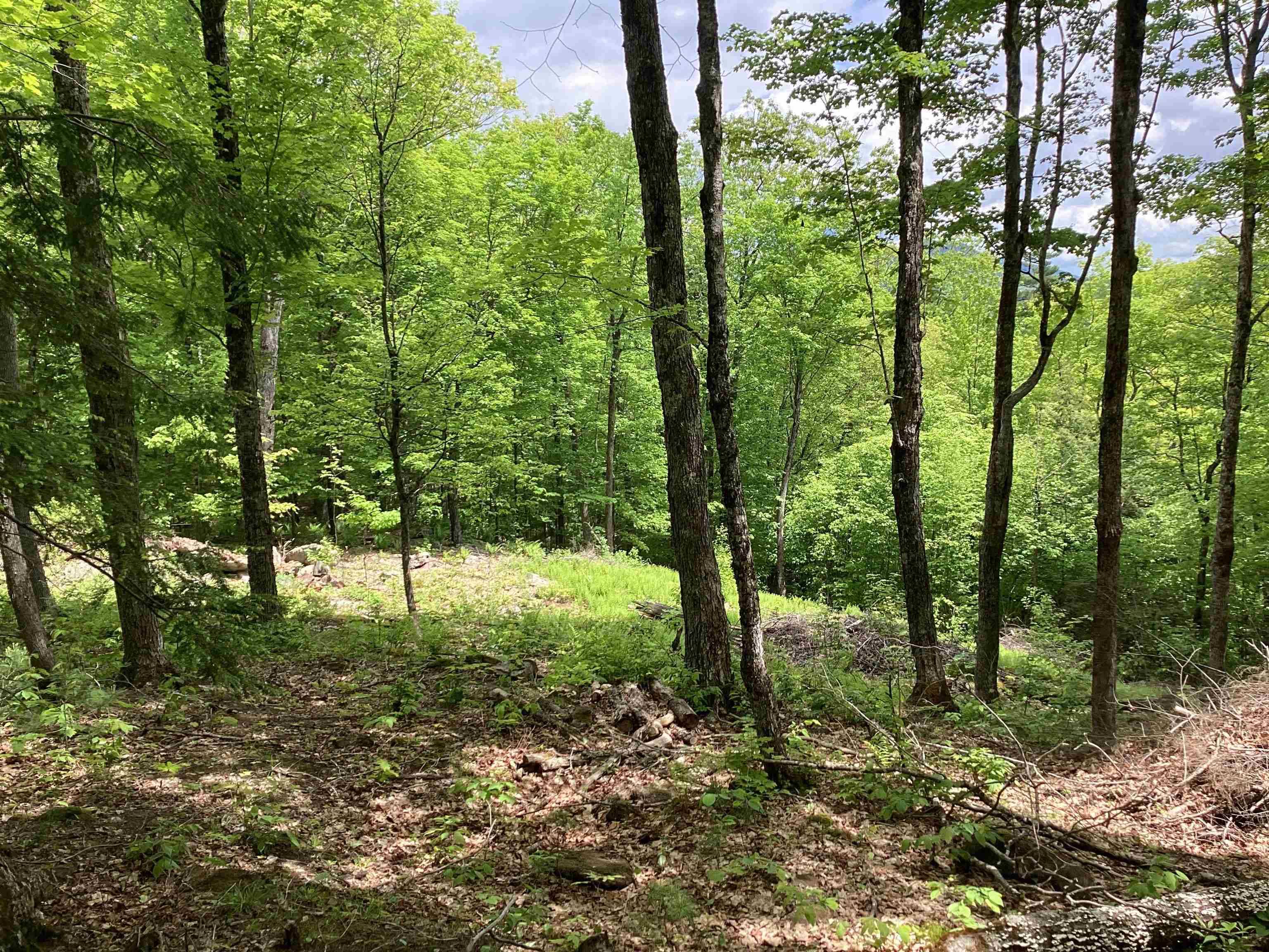 Campton, NH 03223,Lot 1 Pegwood RD