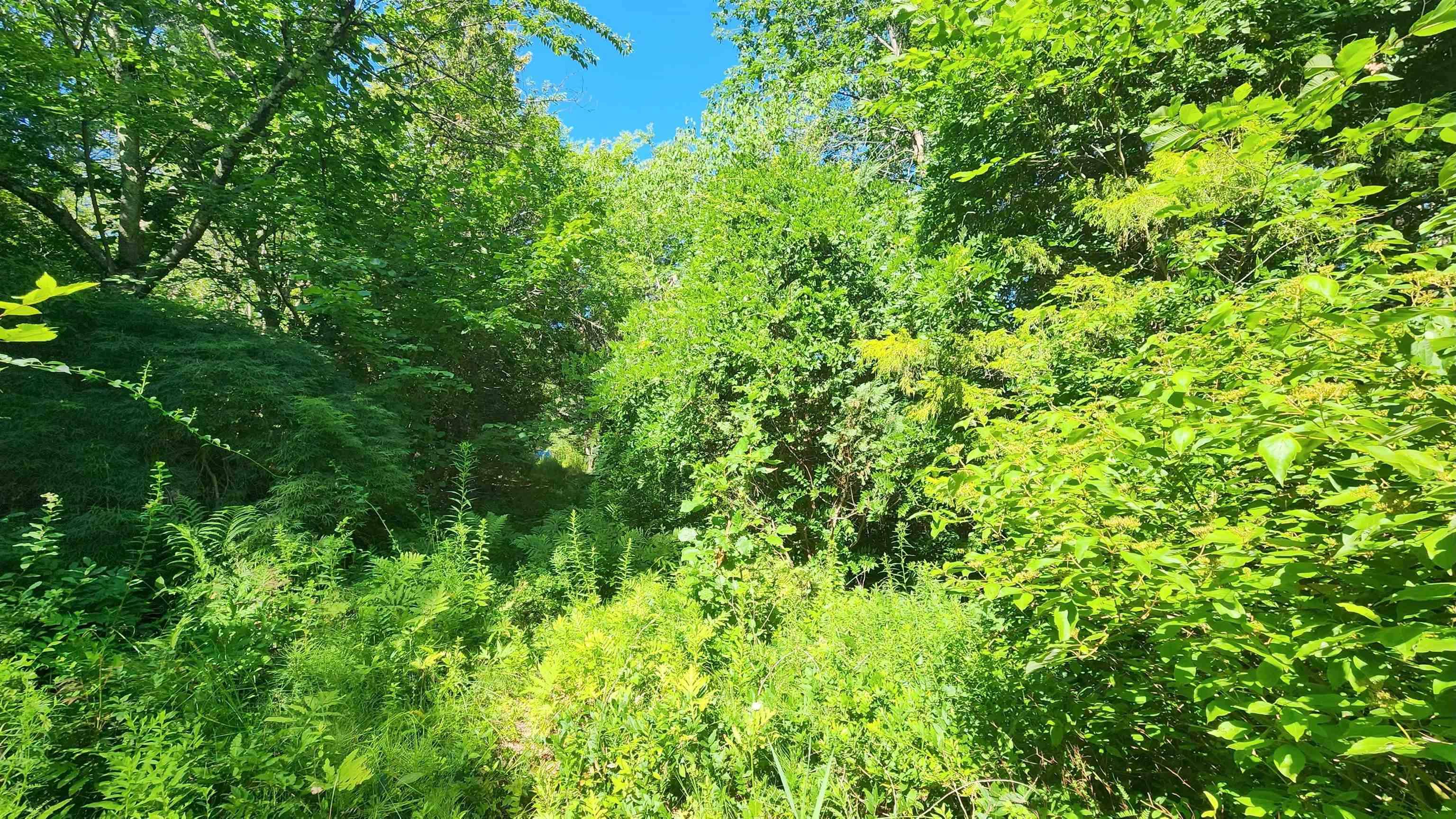 Exeter, NH 03833,29 Gary LN