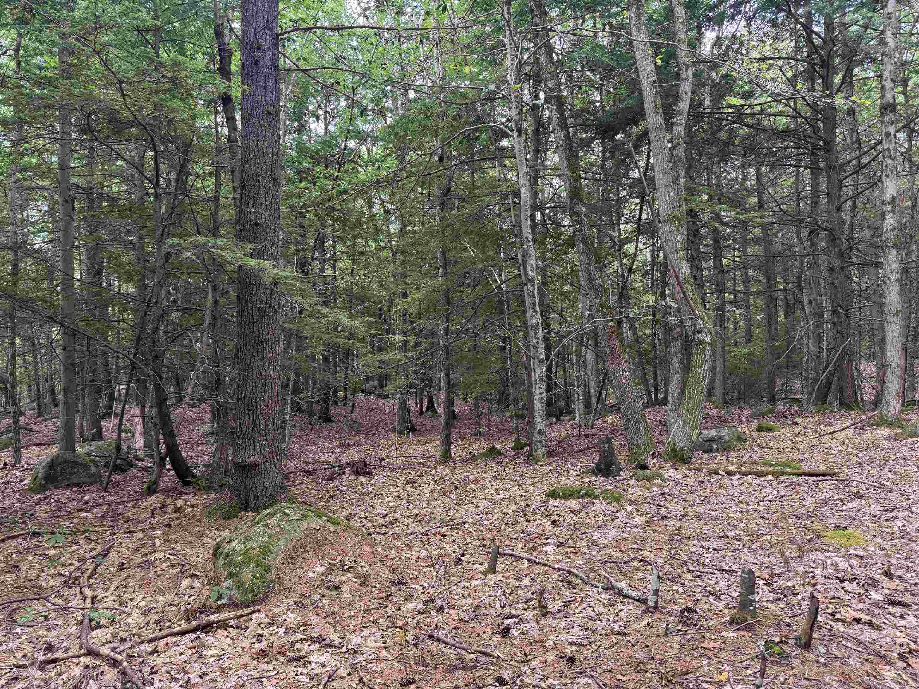 Hancock, NH 03449,Lot R11-11-1 Forest RD