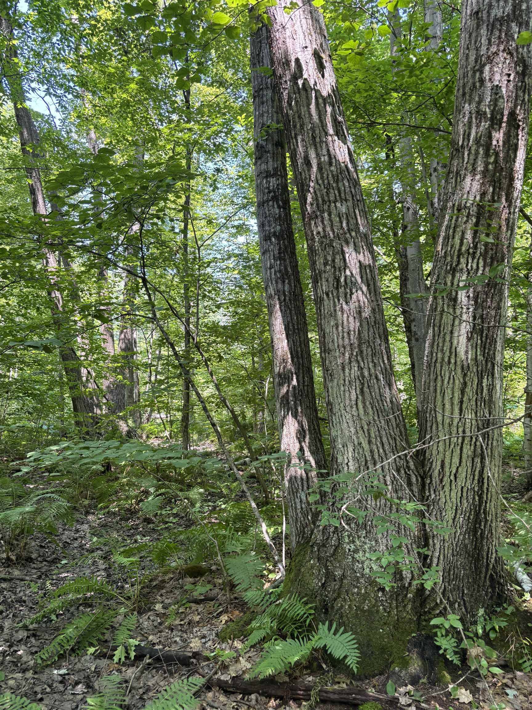 Salisbury, VT 05769,Upper Plains RD