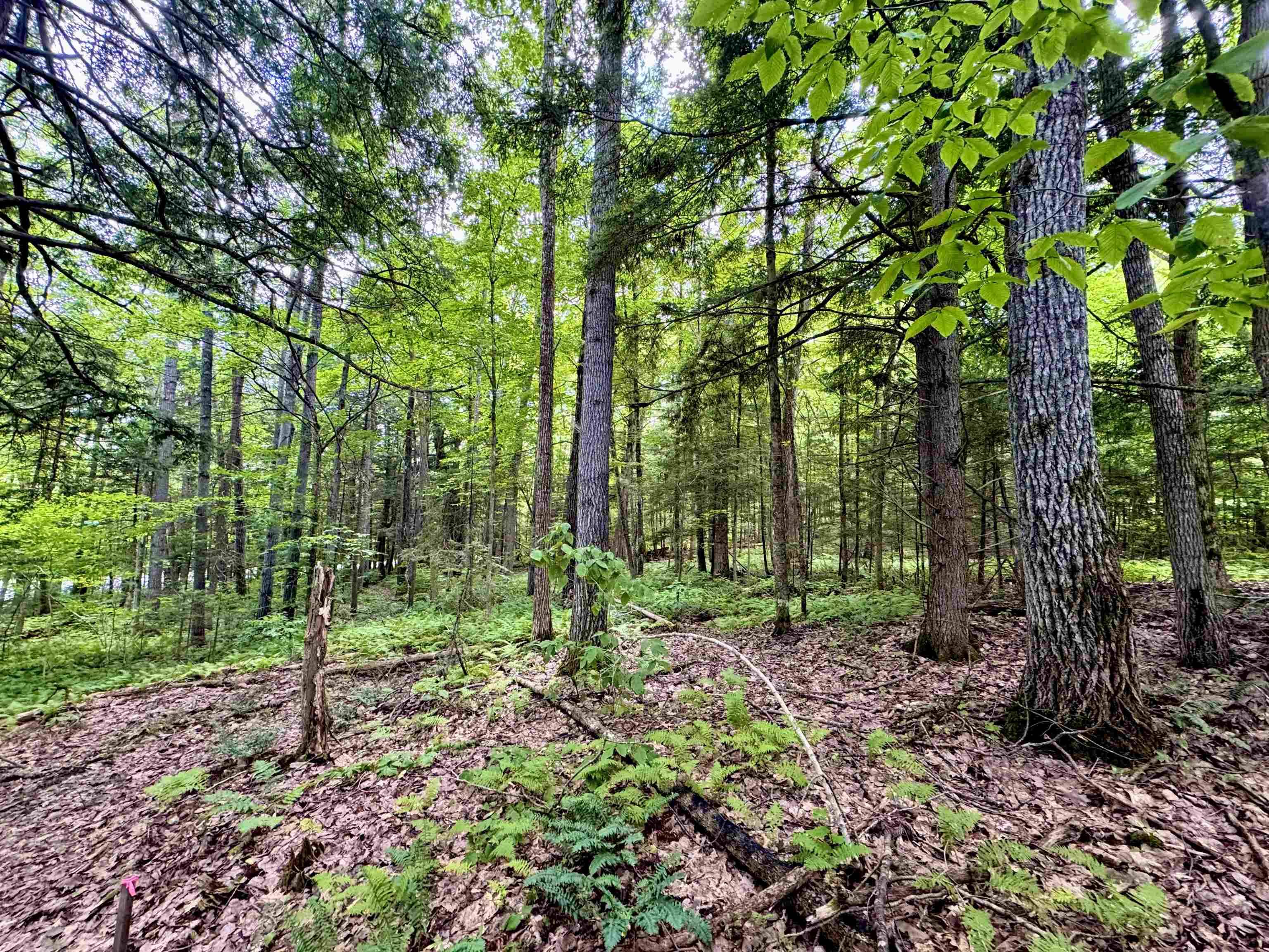 Newbury, VT 05051,0 Tyler Farm RD