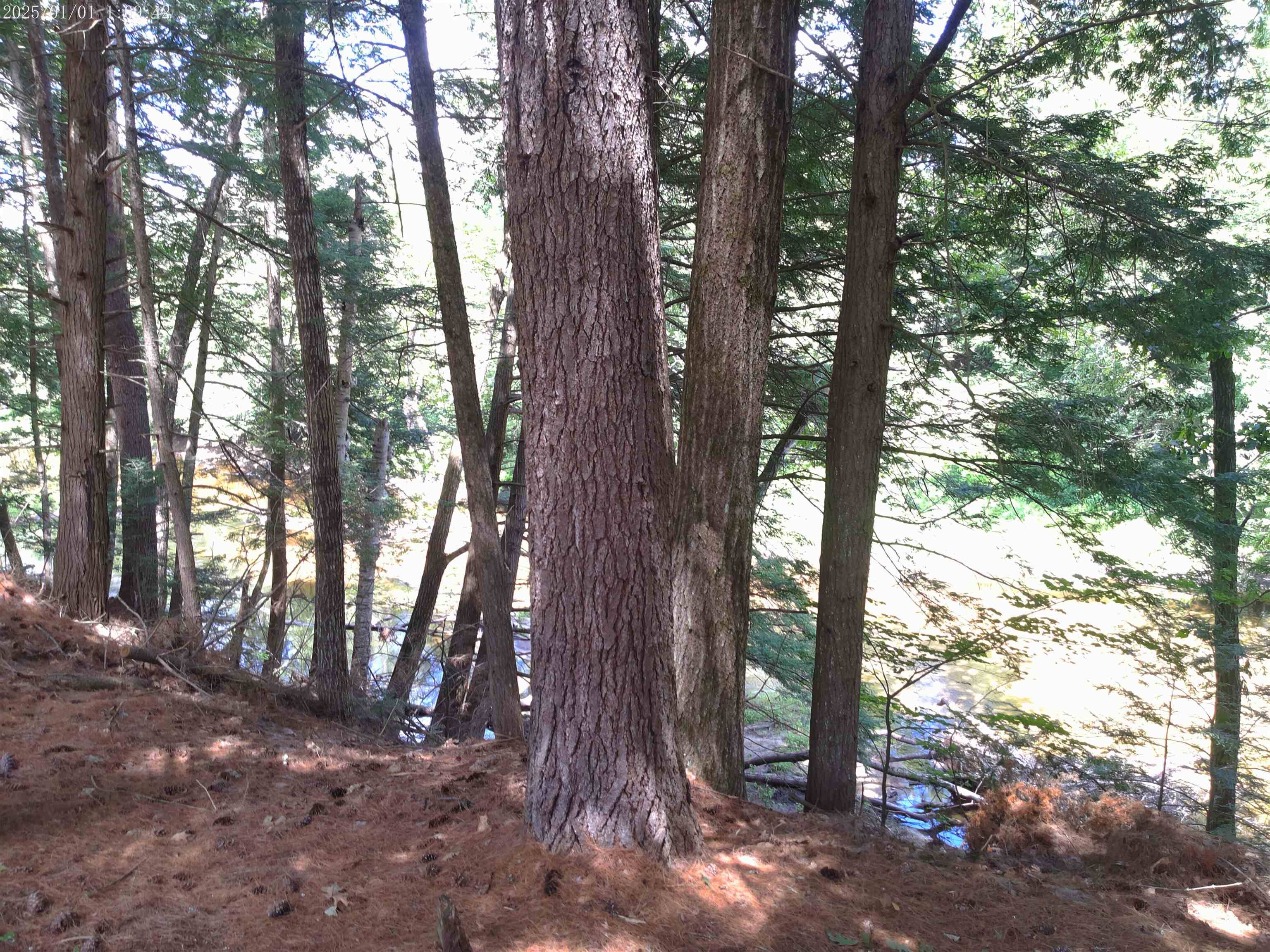 Hopkinton, NH 03229,40 Evergreen LN