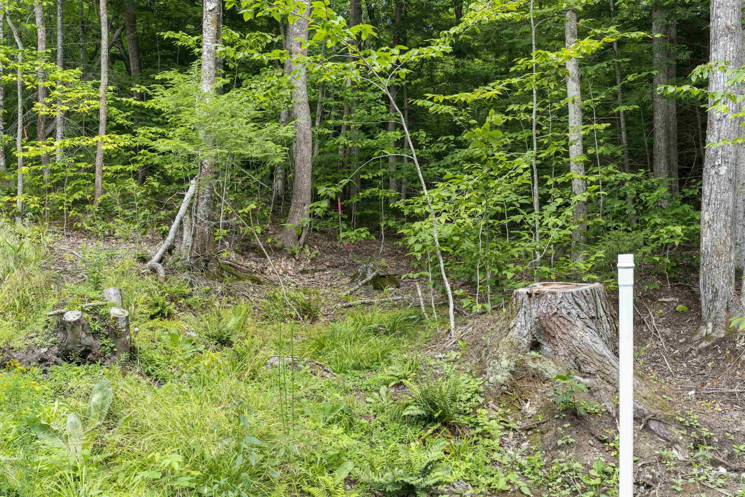 Duxbury, VT 05660,TBD Arbor LN #13