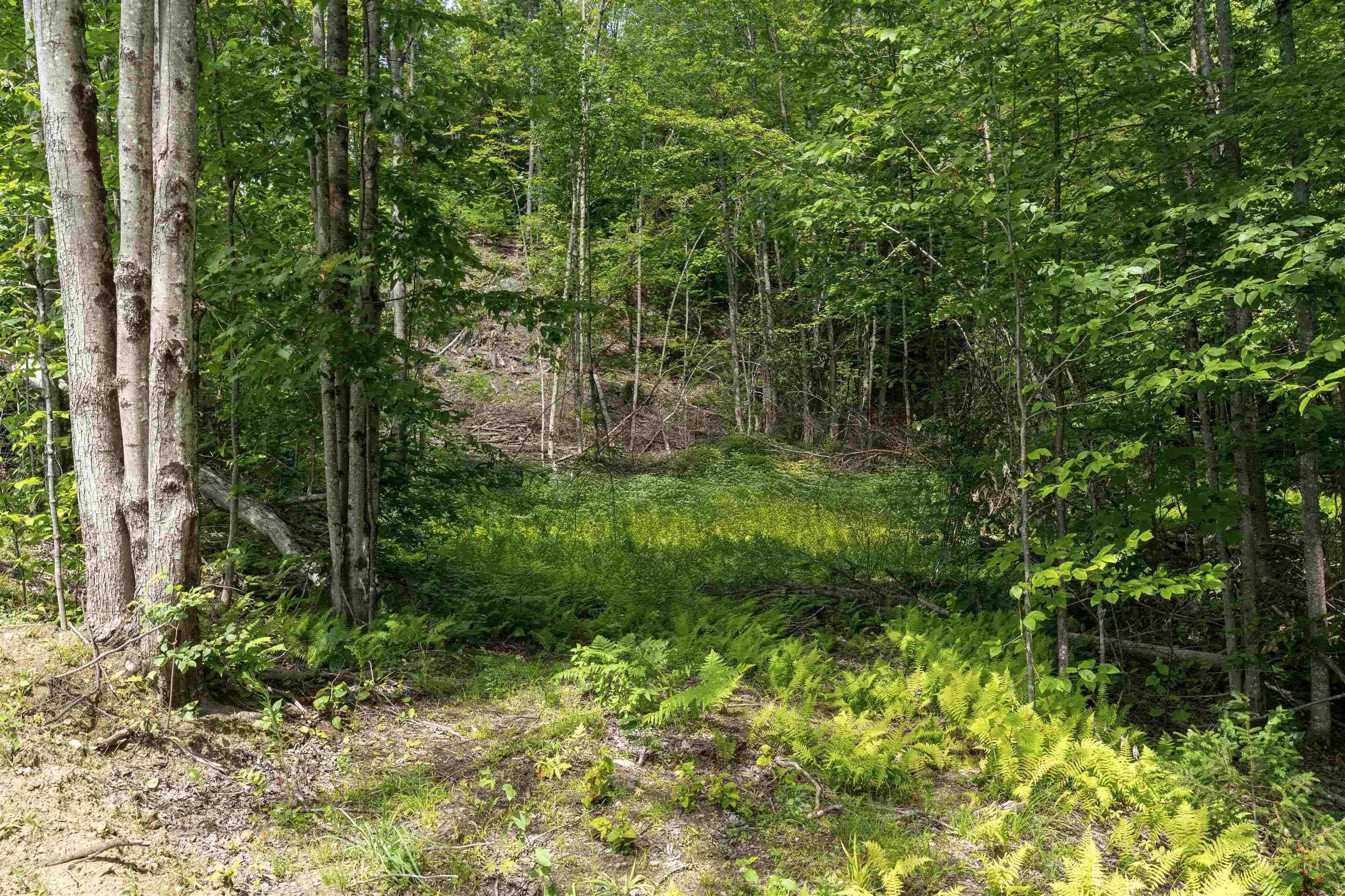Duxbury, VT 05660,TBD Wilder RD #2