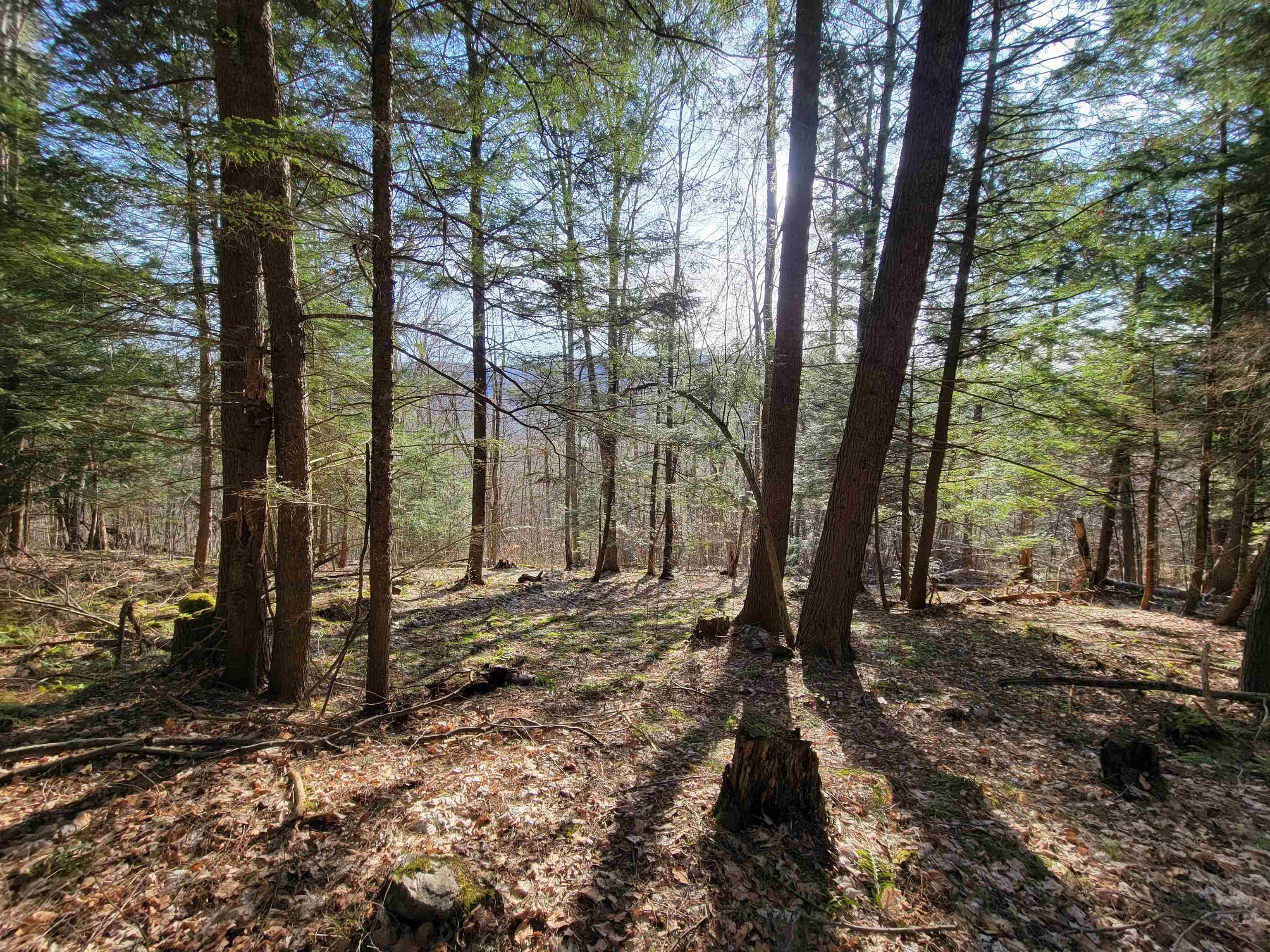 Monkton, VT 05469,1890-A Bristol RD