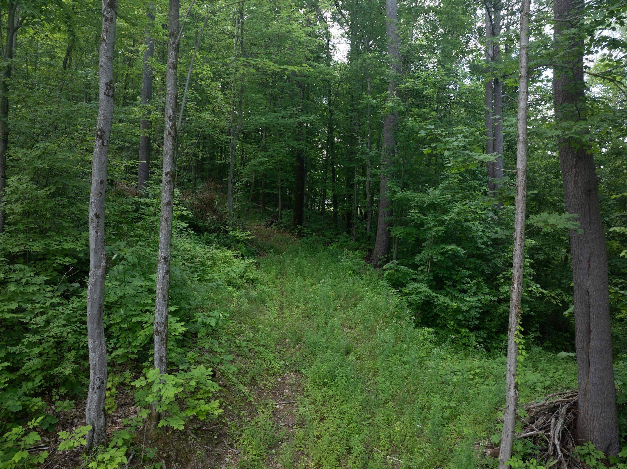 Williston, VT 05495,476 NXT Lincoln RD