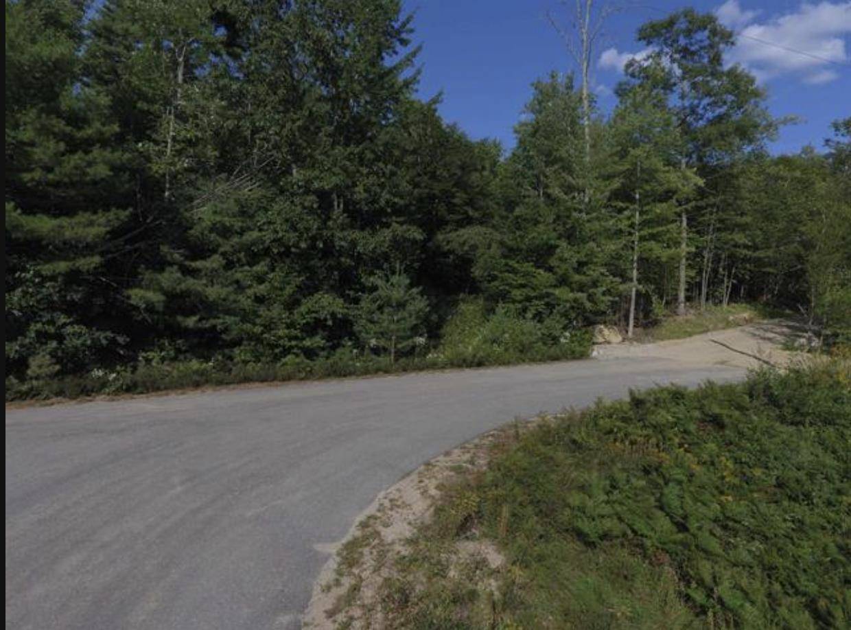 Moultonborough, NH 03254,000 Lady Slipper LN