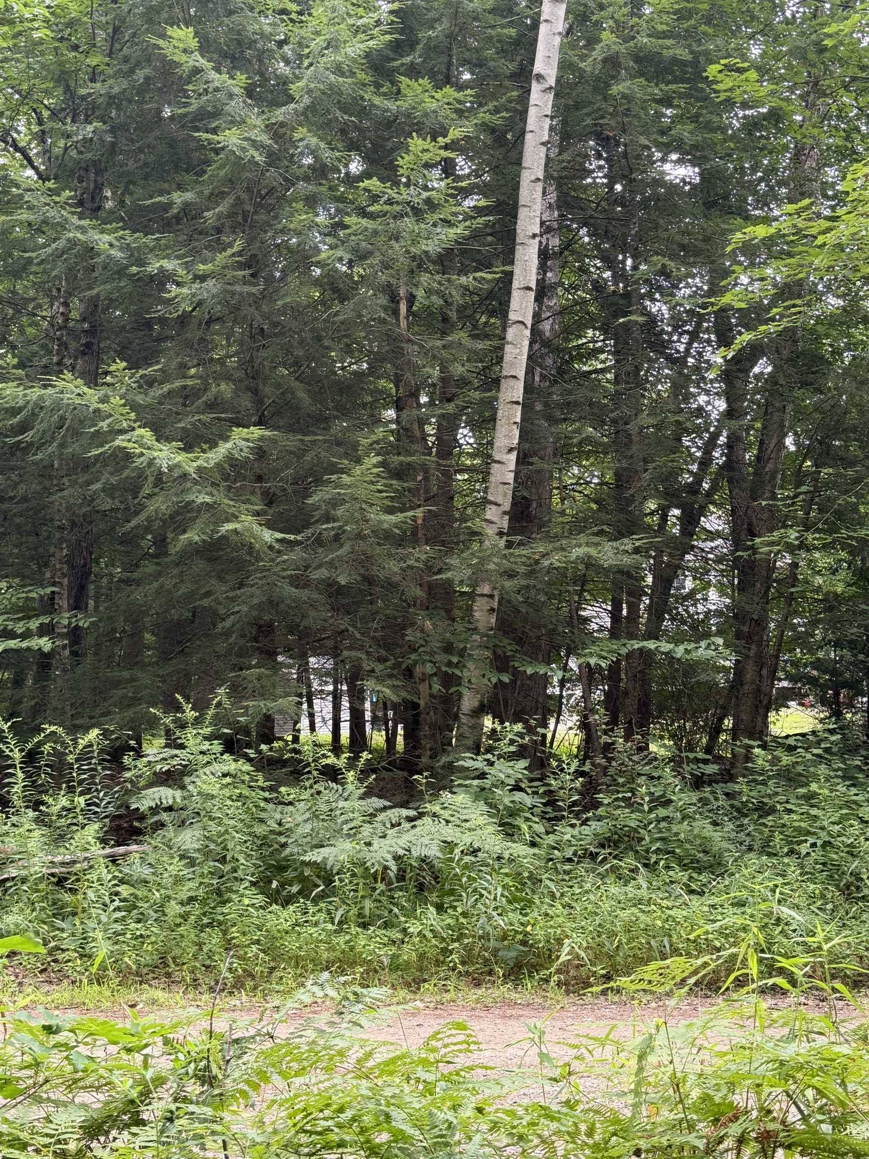Moultonborough, NH 03254,37 Mayflower LN