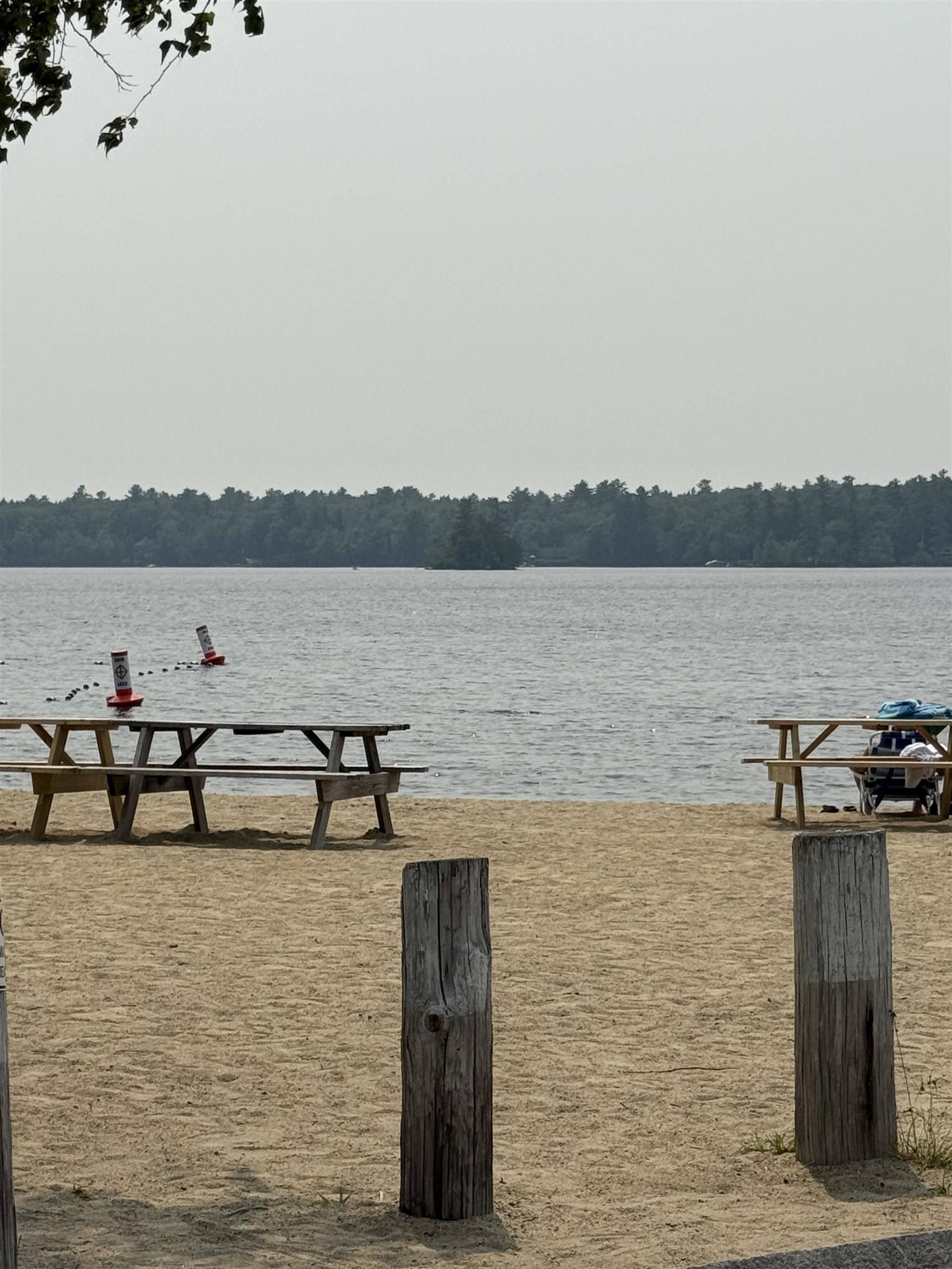 Moultonborough, NH 03254,37 Mayflower LN