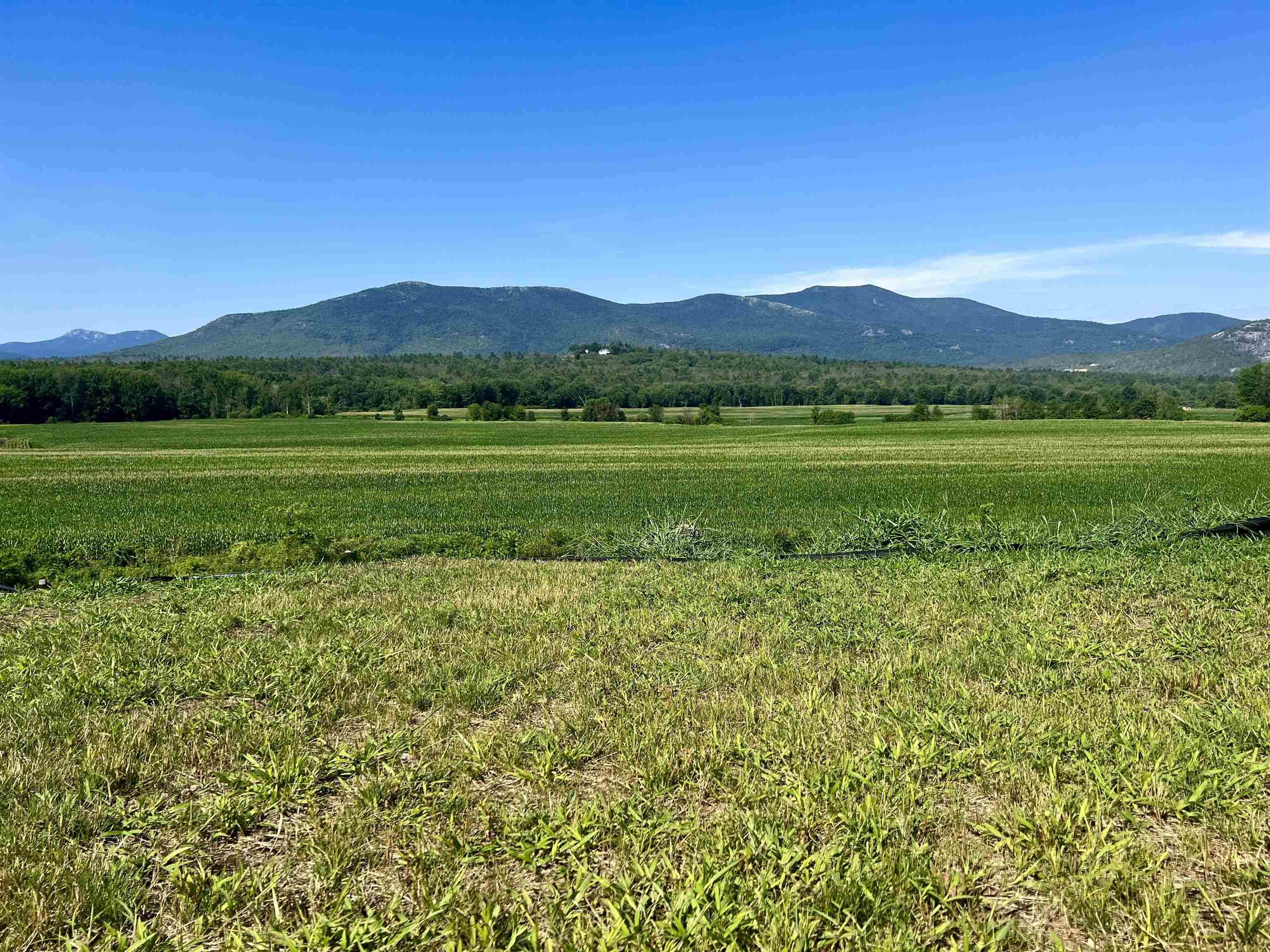 Conway, NH 03860,38 Alpine Place DR #212