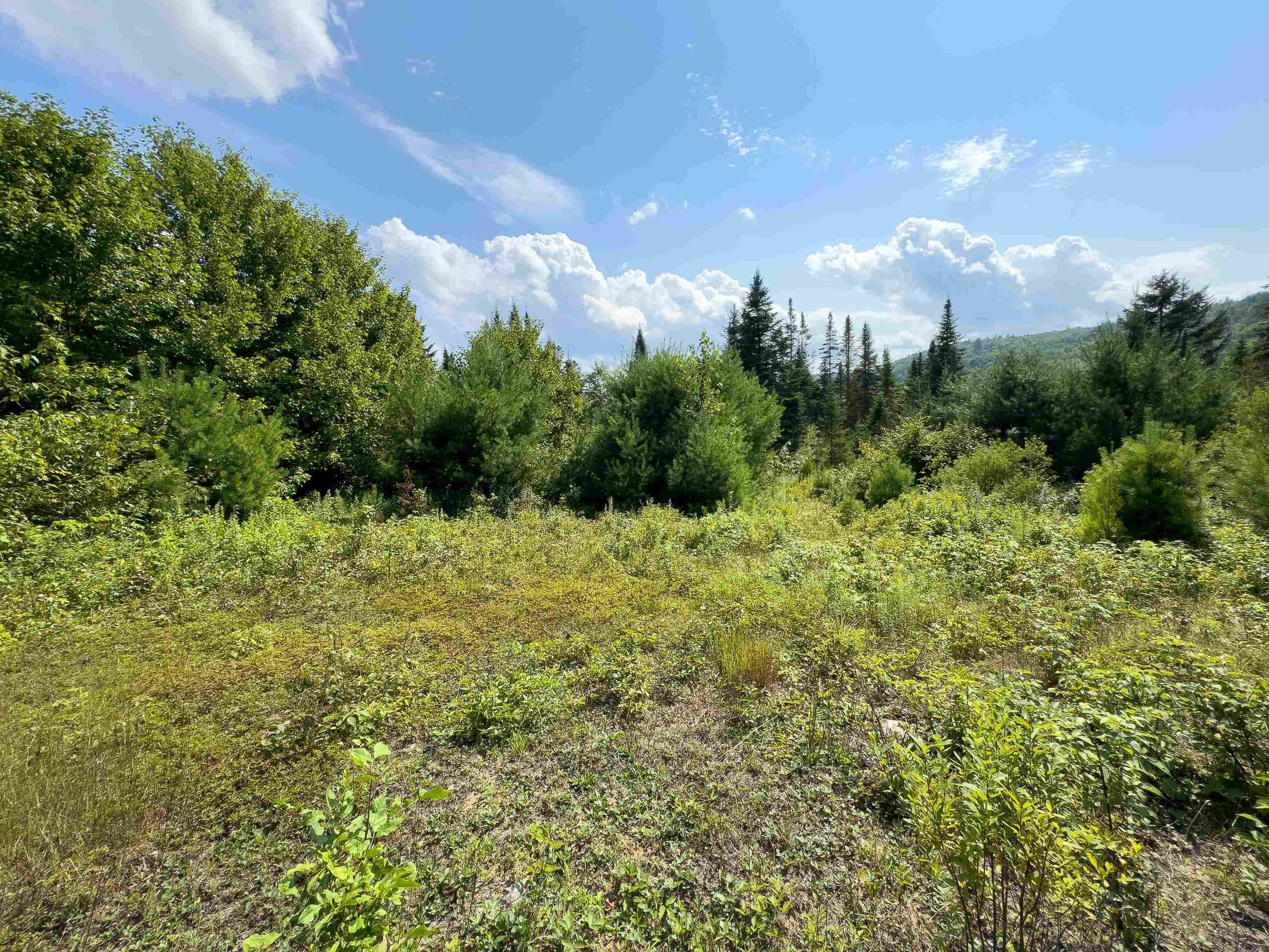 Newbury, VT 05051,00 Scotch Hollow RD