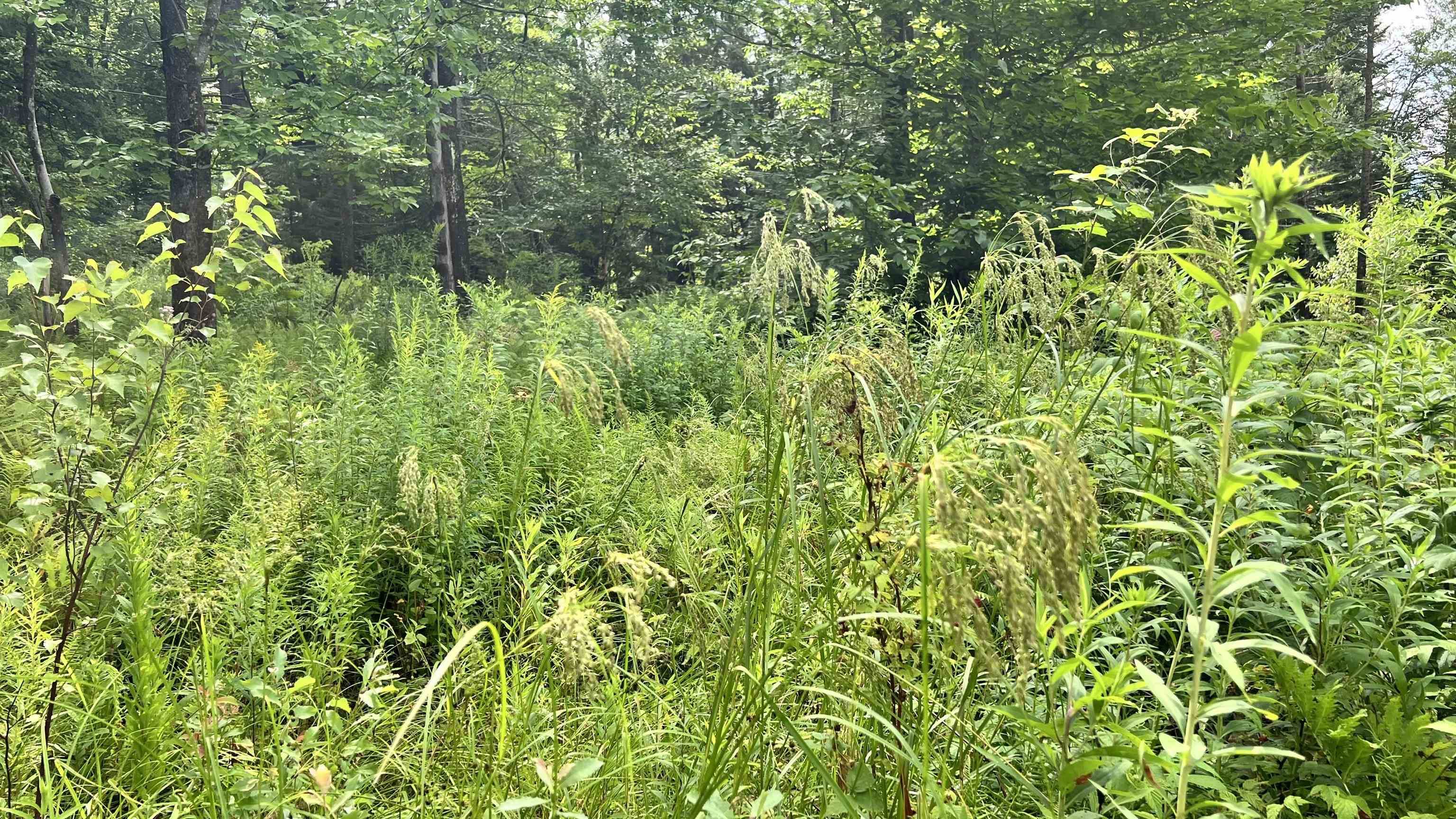 Cambridge, VT 05444,1416 Clif Reynolds RD #3