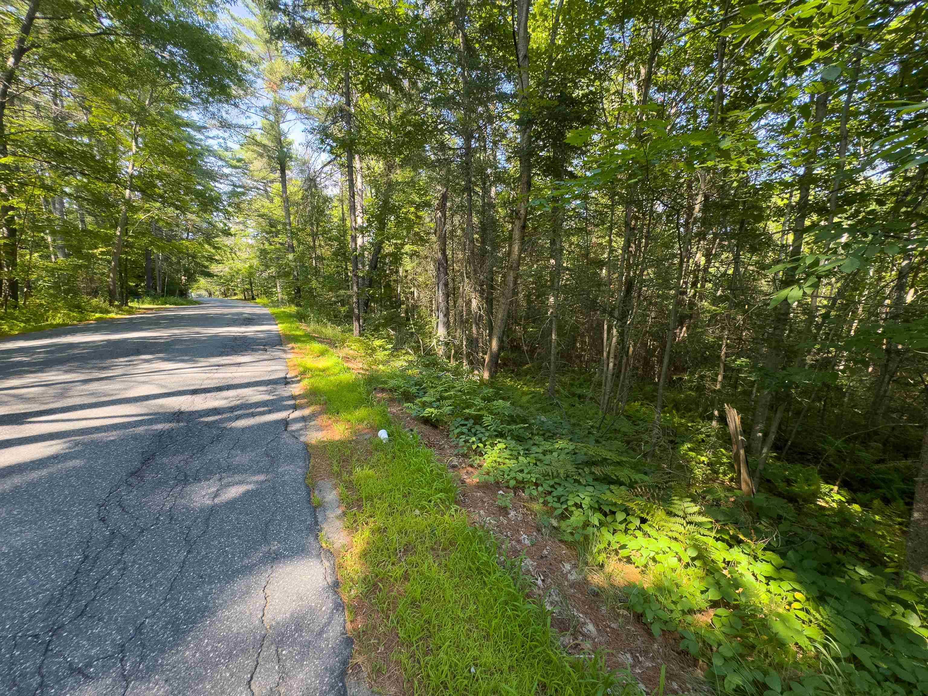 Haverhill, NH 03765,00 Brushwood RD #105