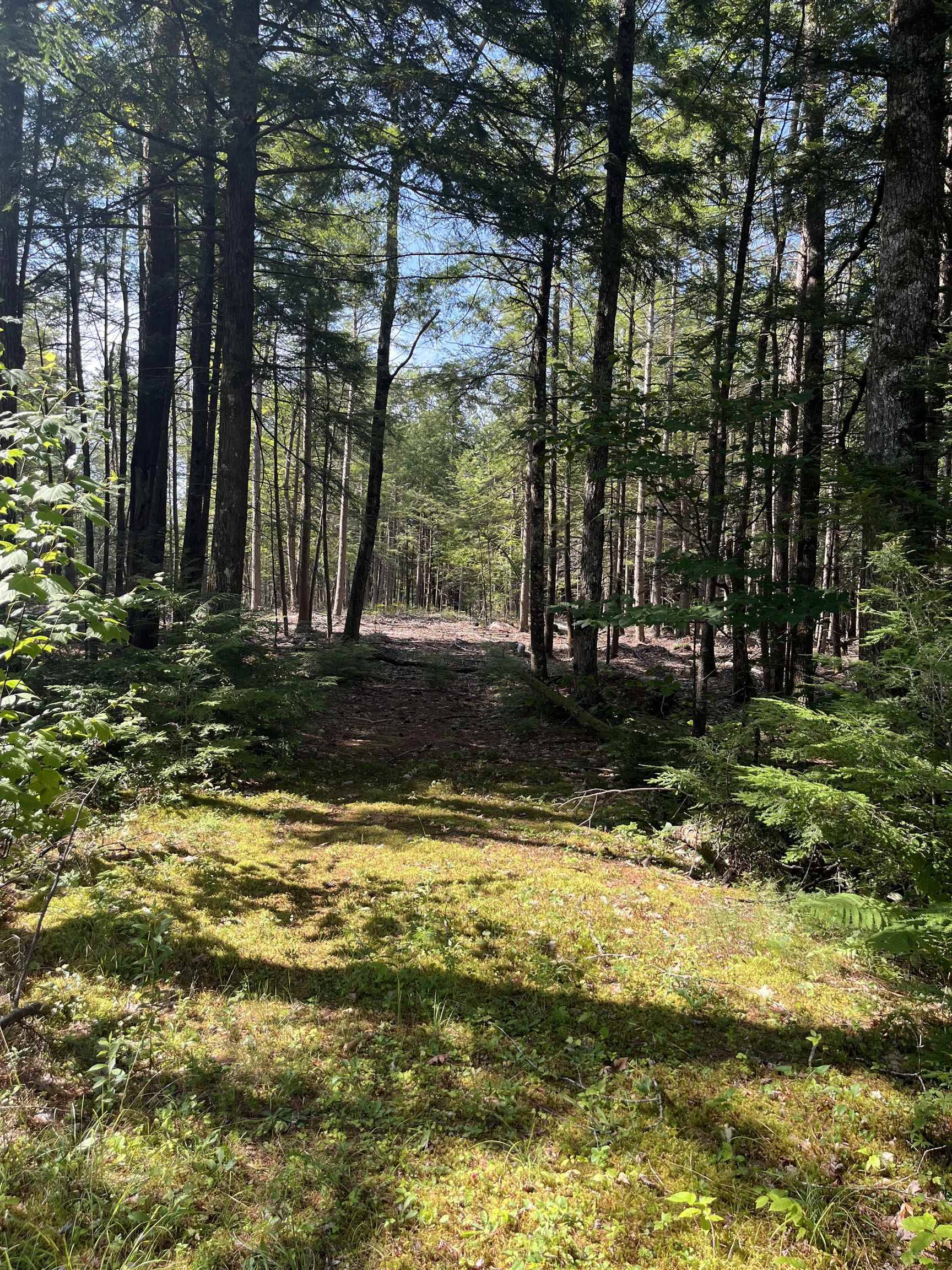 Tuftonboro, NH 03816,61 Dame RD #044-002-018