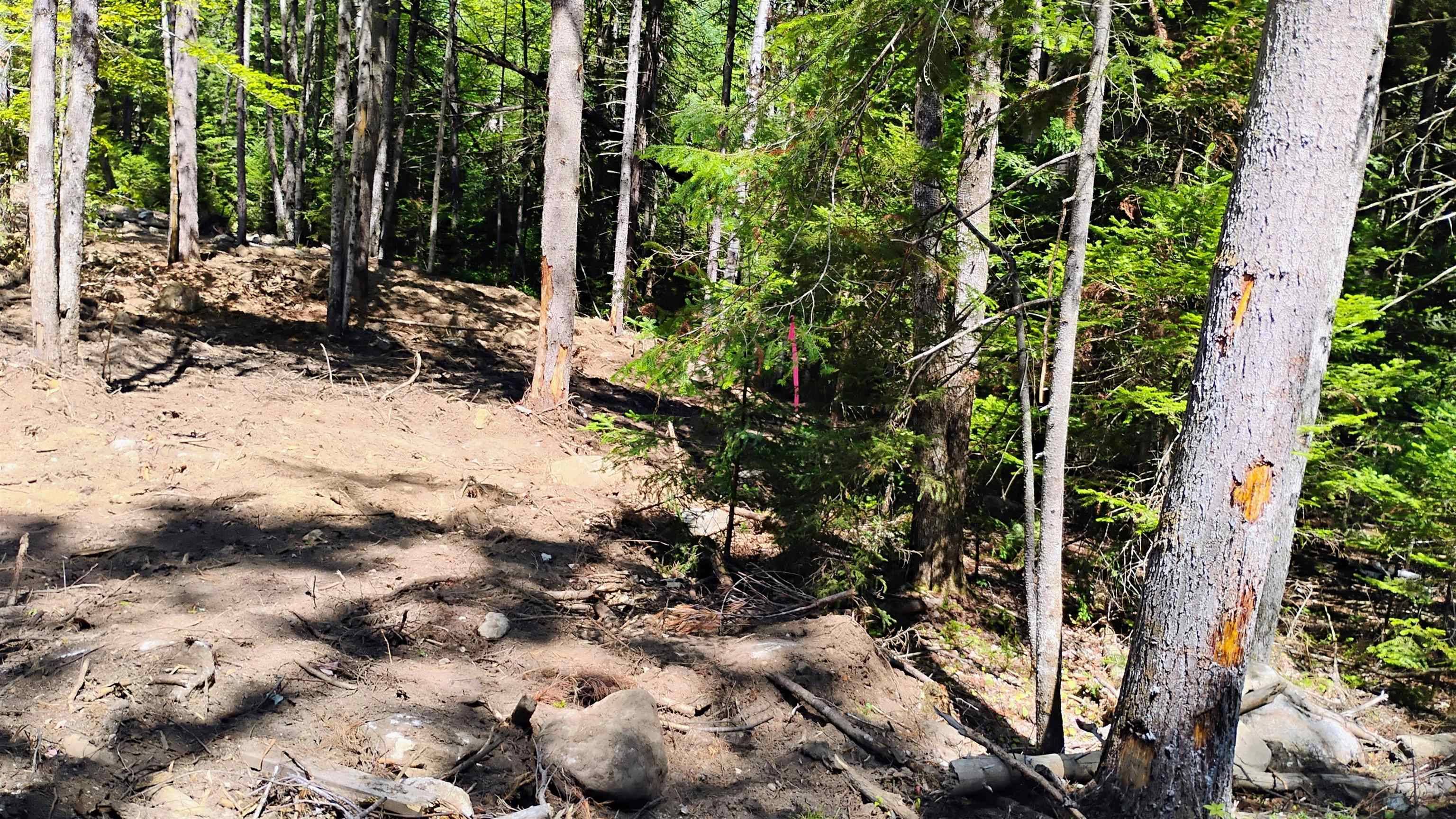 Grafton, NH 03240,Lot 2 NH Route 4A