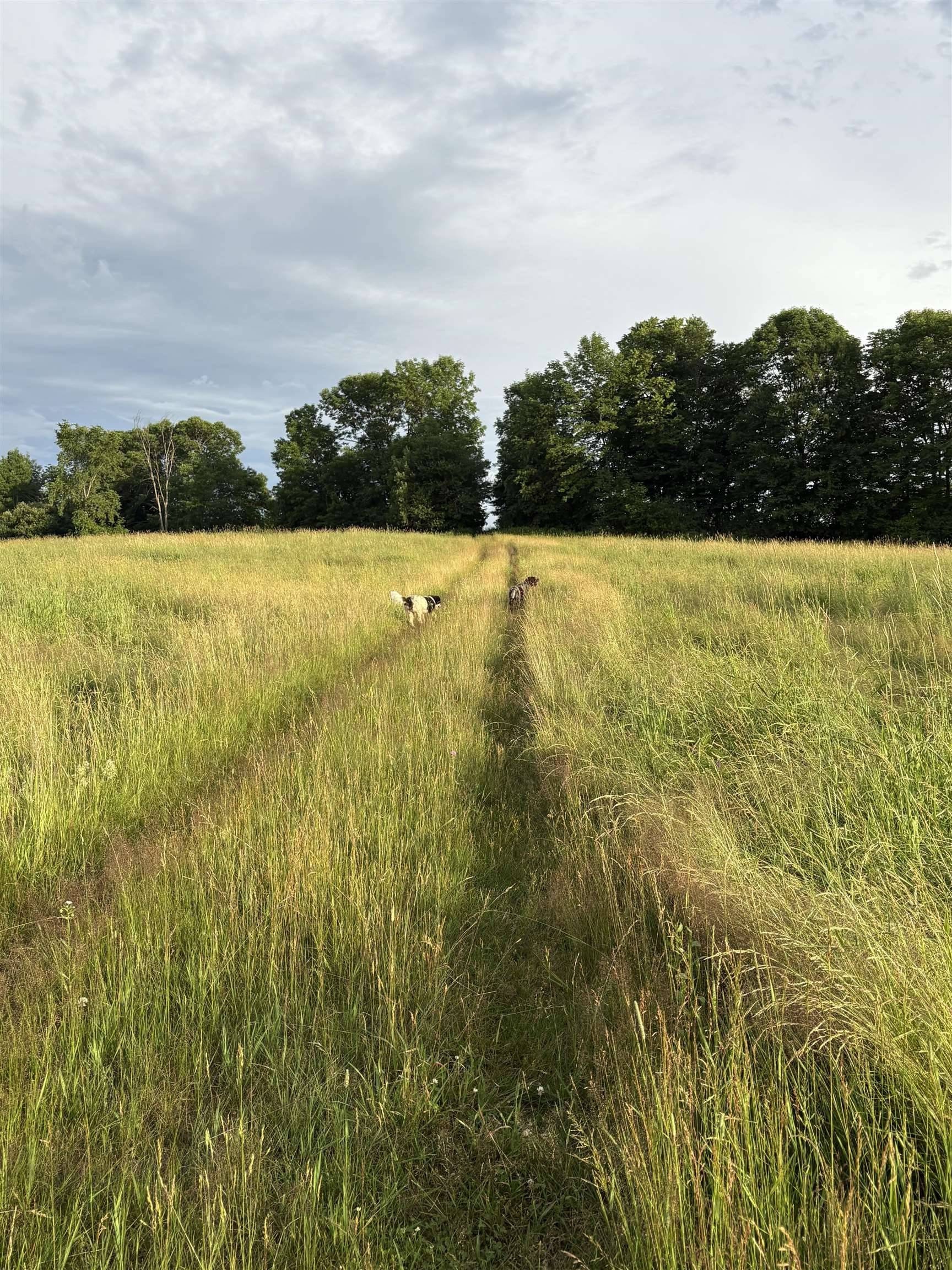 Hyde Park, VT 05655,475 Webster RD