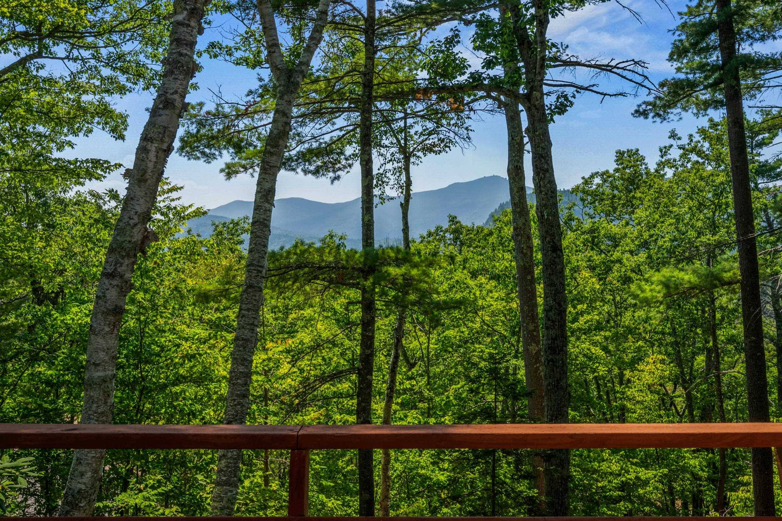 Bartlett, NH 03812,27 Moat Mountain CIR