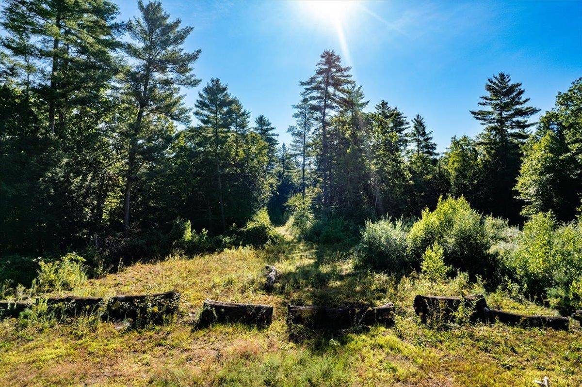 Deerfield, NH 03037,Map 419 Lot 41 Old Candia RD