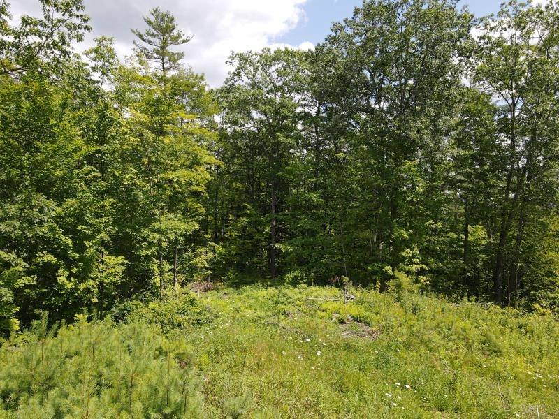 Barnet, VT 05821,0 Denio RD