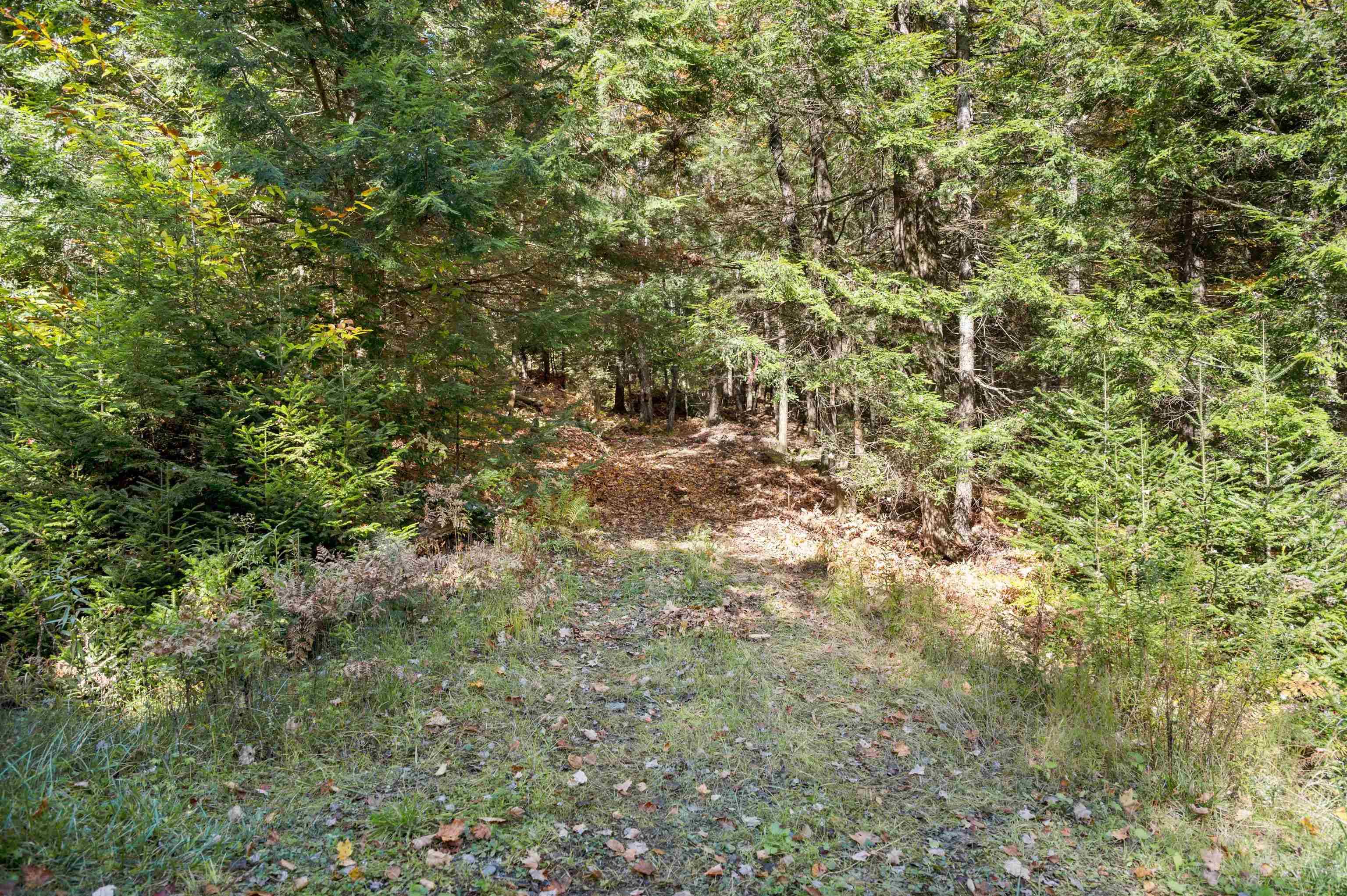 Middlesex, VT 05602,442 VT Route 12