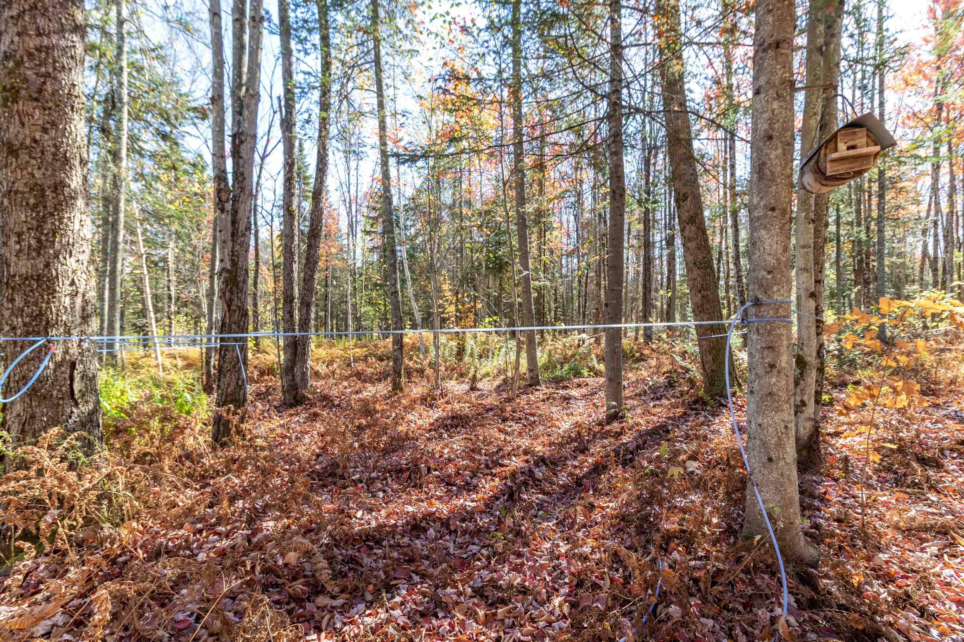 Troy, VT 05859,444 Bowenville RD